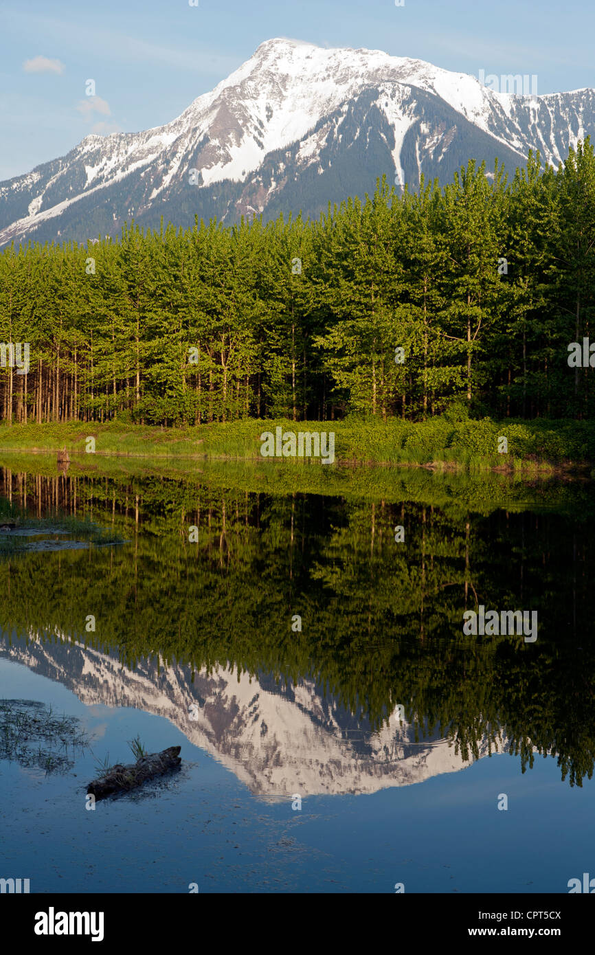 Mount Cheam Reflections Agassiz, British Columbia, Canada Stock Photo