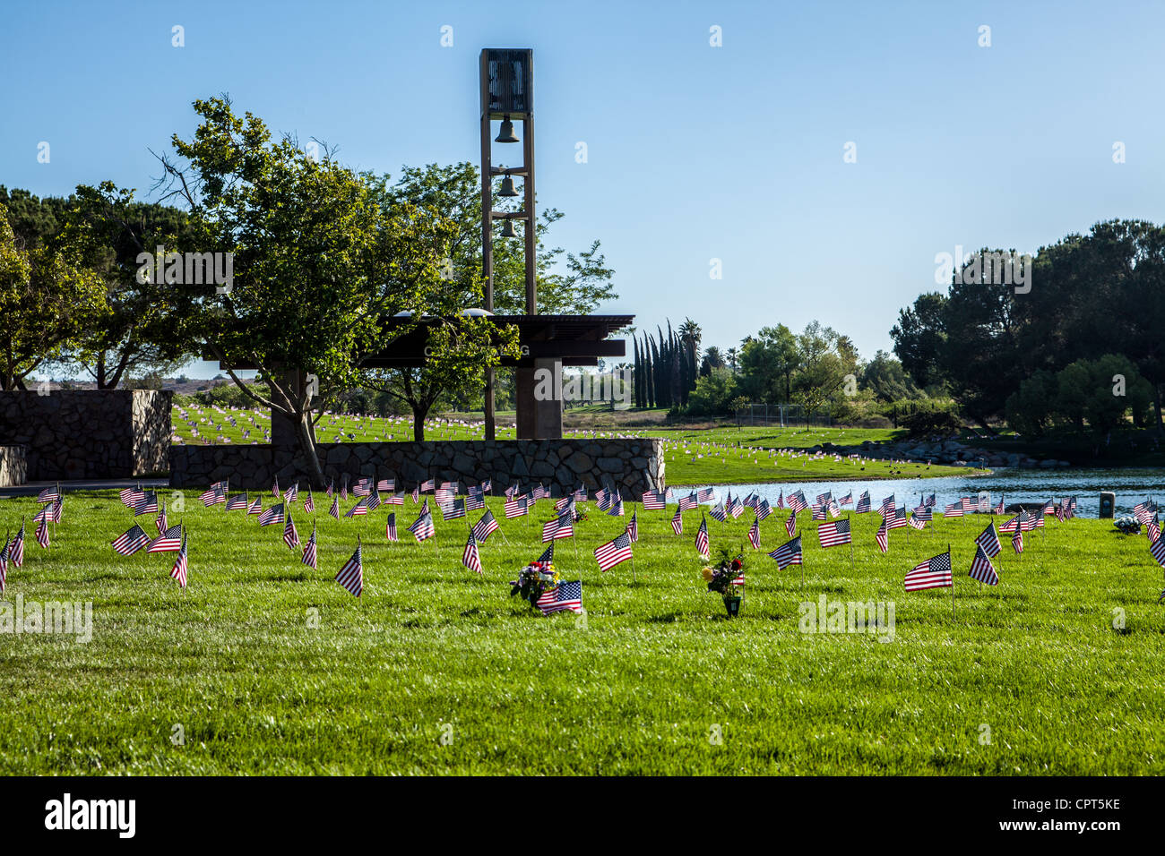 What does the poppy mean for veterans day