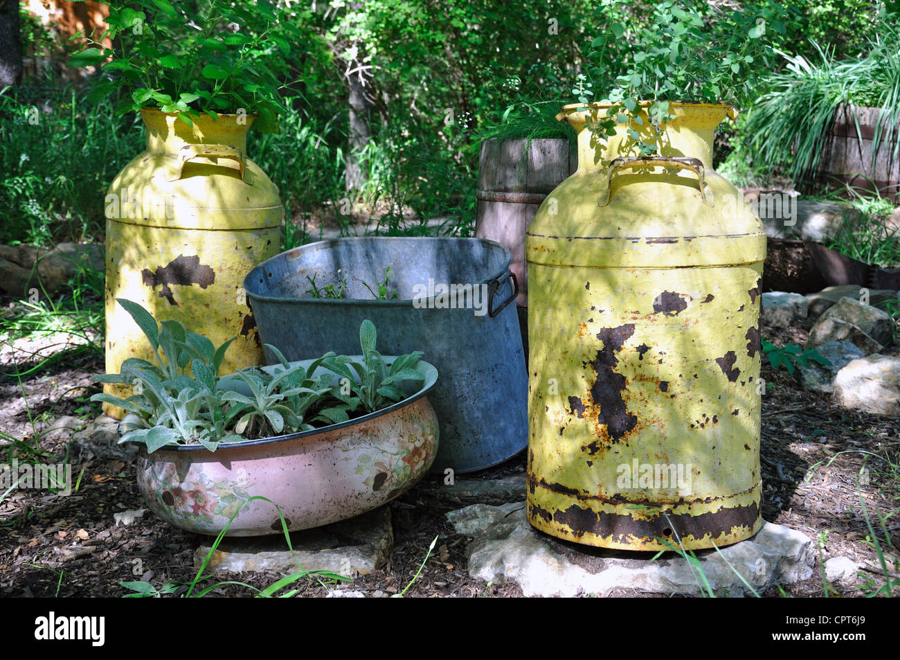 Vintage milk cans and wash basins, Texas, USA Stock Photo