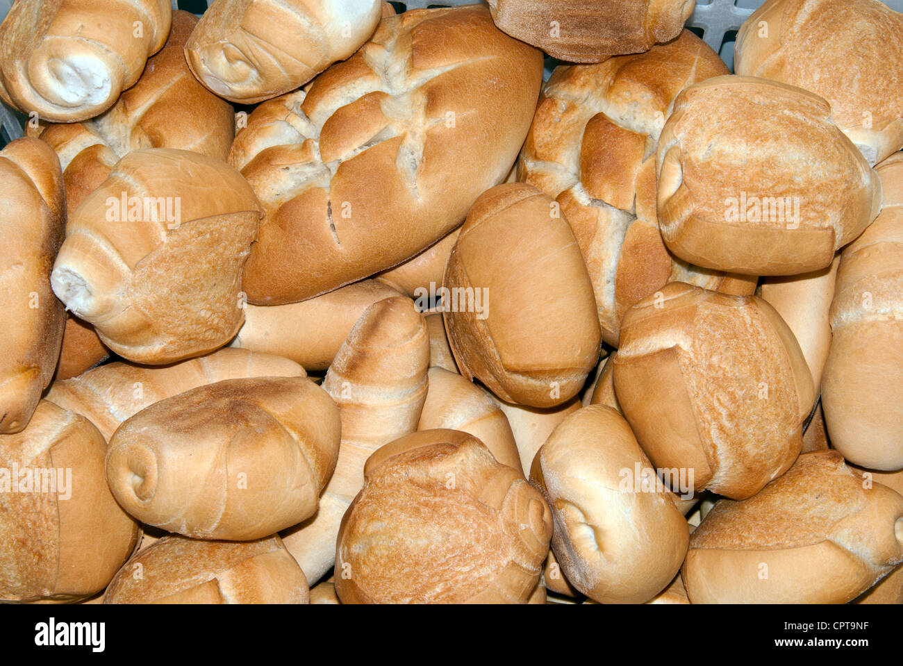 Bread (Panini), Italian cooking, Italy Stock Photo