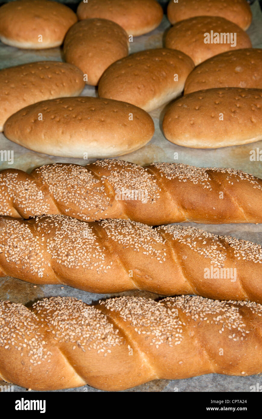 Bread (Panini), Italian cooking, Italy Stock Photo