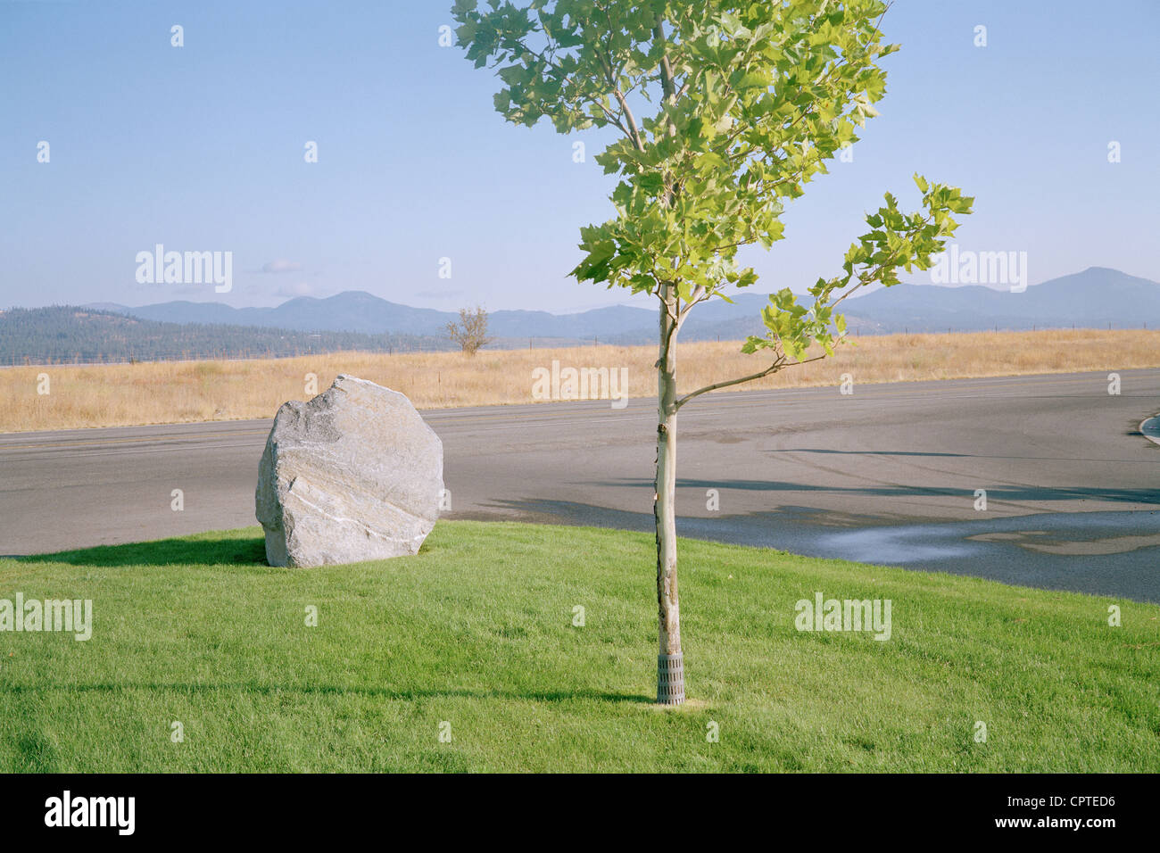 Suburban Rocks Rock on grass by suburban road Stock Photo - Alamy