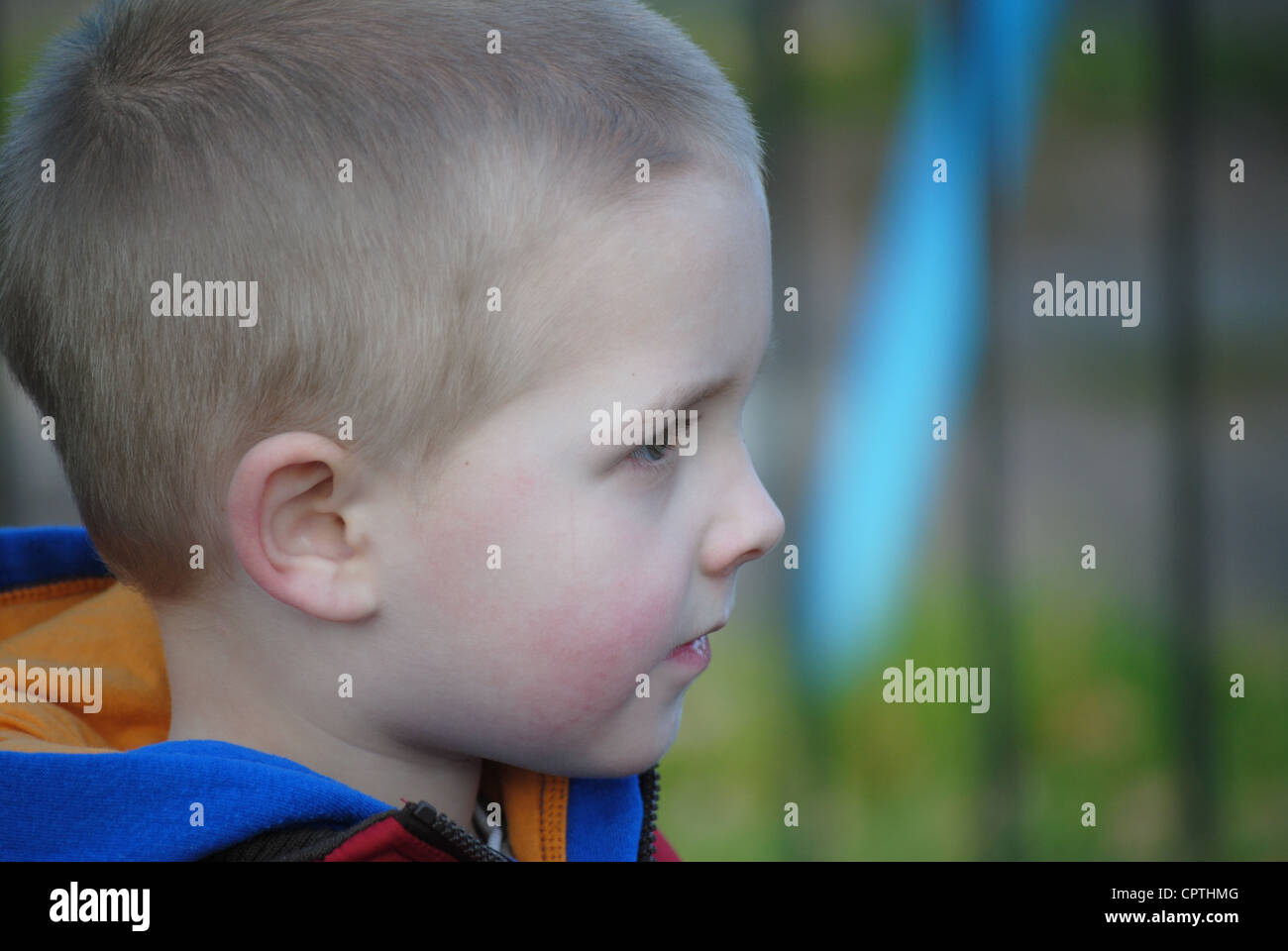 portrait of little boy in the park Stock Photo - Alamy