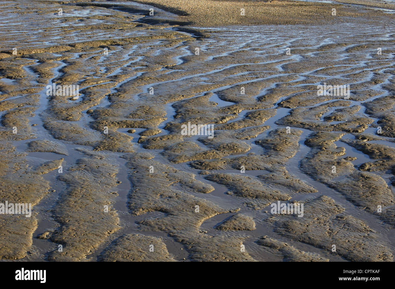 Mud beds on the river Thames in London, England Stock Photo Alamy