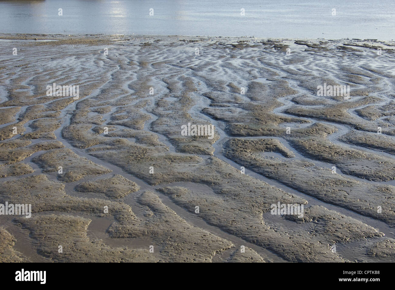 Mud beds at low tide on the River Thames in London, England Stock Photo