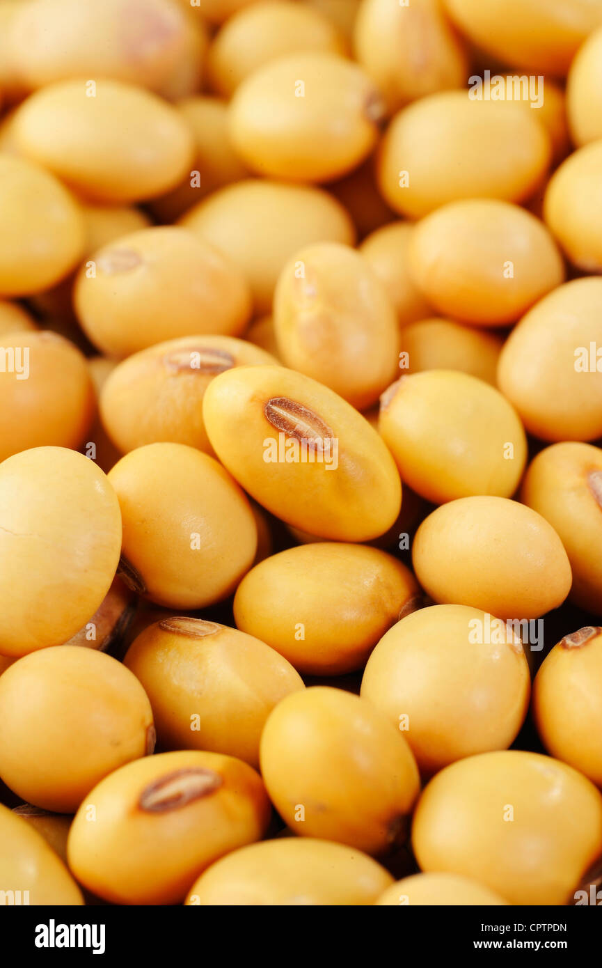raw soybean seed Stock Photo