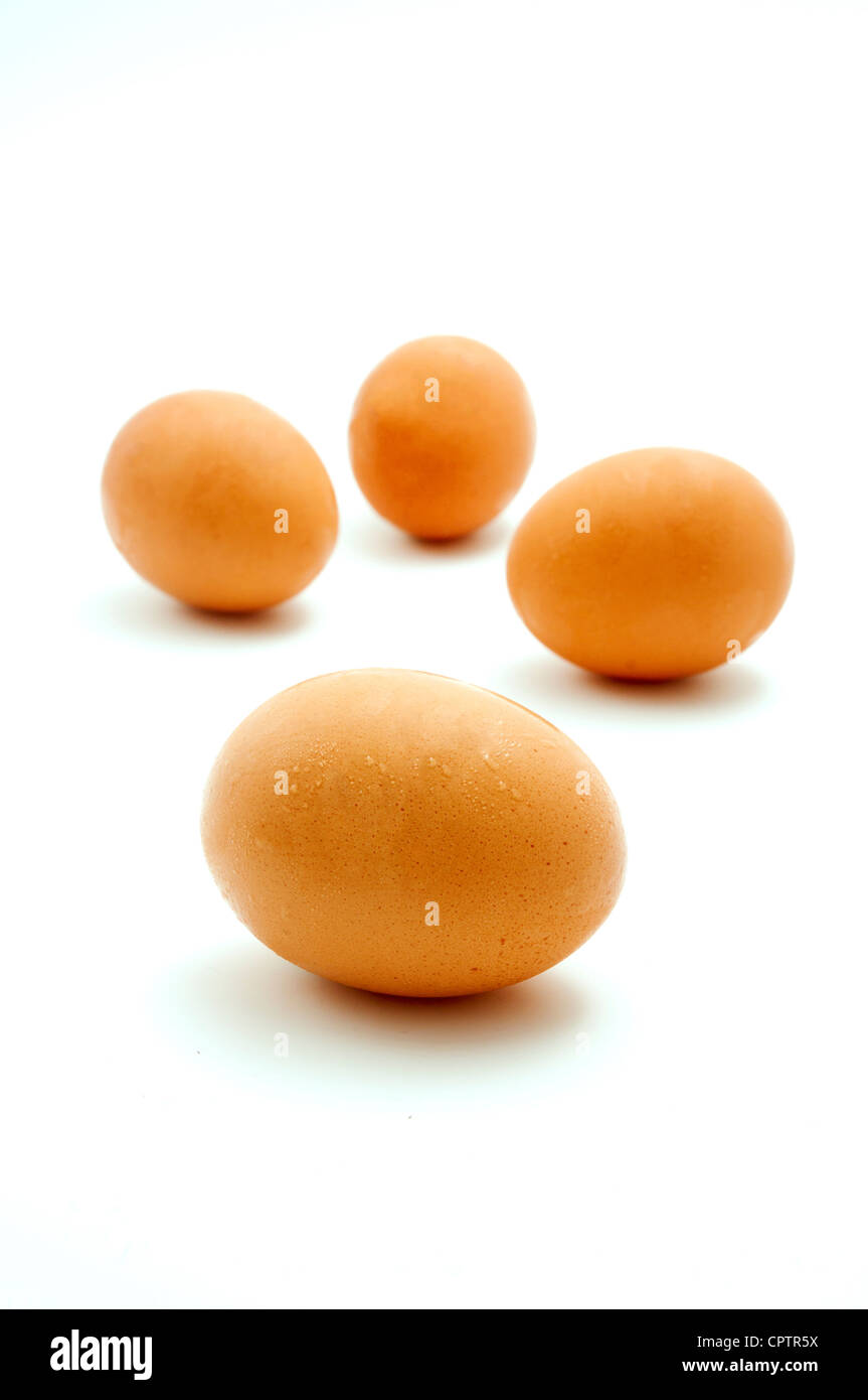 Brown chicken eggs on a white background Stock Photo