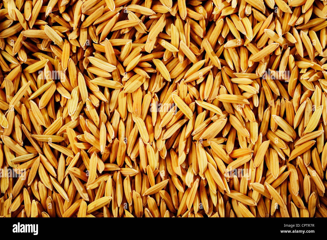 Paddy gold hi-res stock photography and images - Alamy