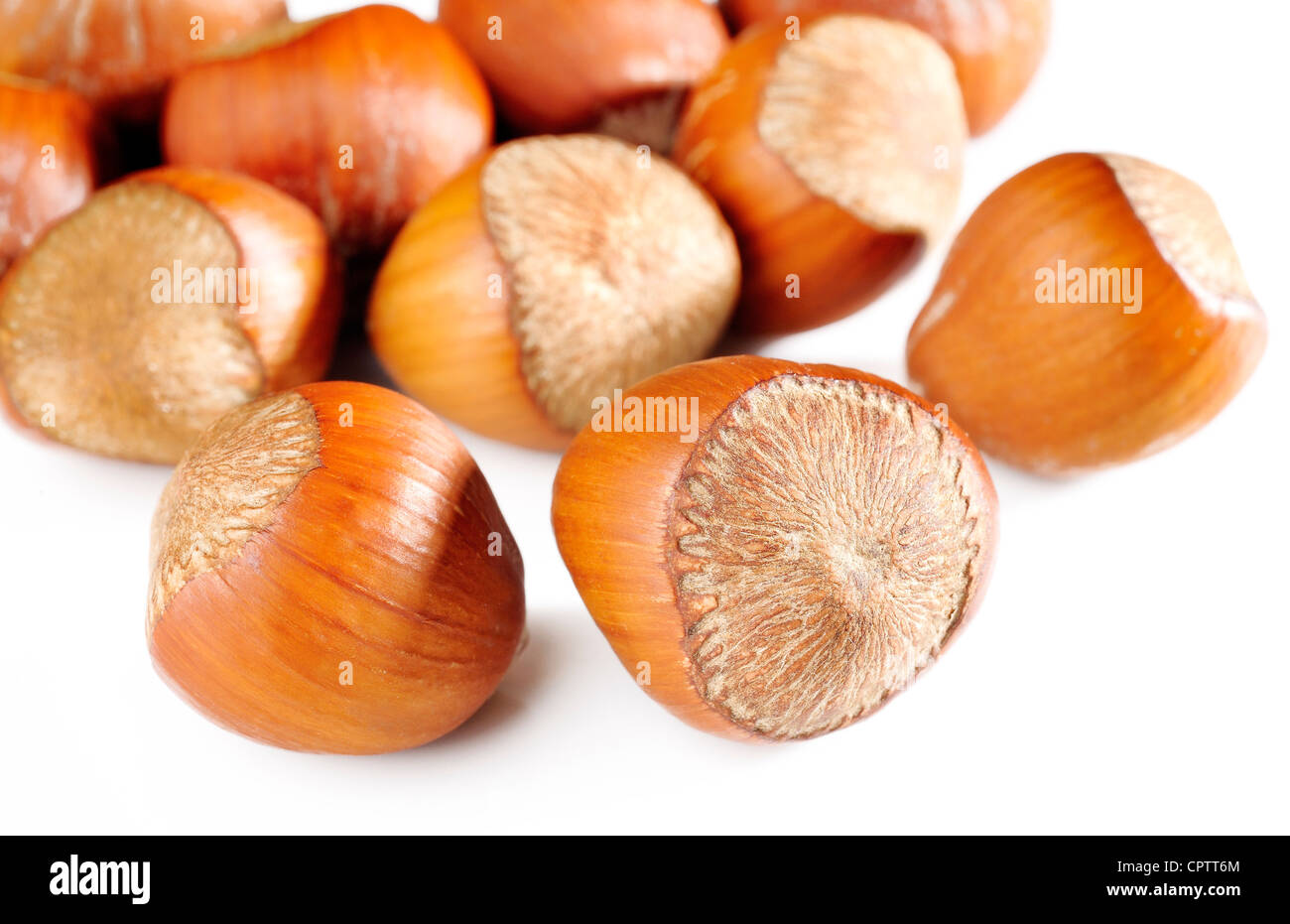 hazelnuts on white background Stock Photo