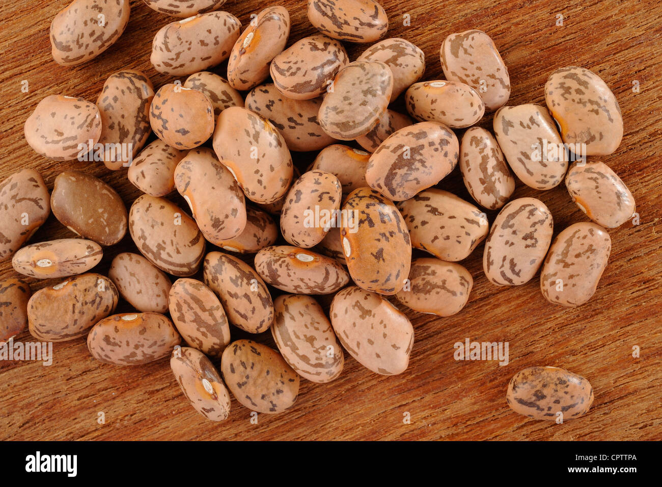 pinto beans on wood Stock Photo