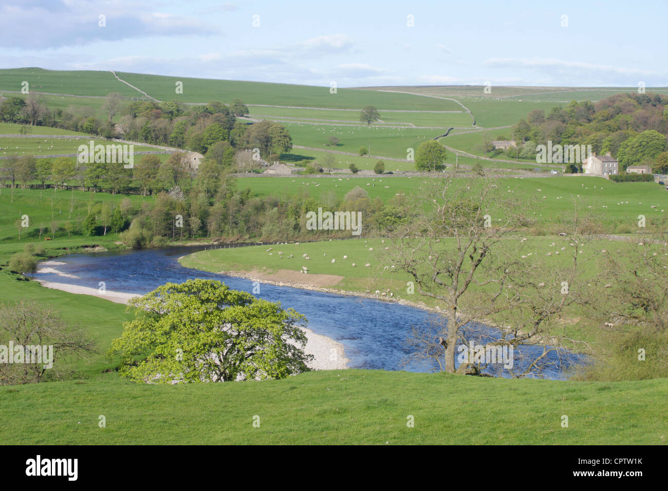 Burnsall bridge and River Wharfe, spring, Lower Wharfedale, Yorkshire Dales National Park, North Yorkshire, England, UK Stock Photo