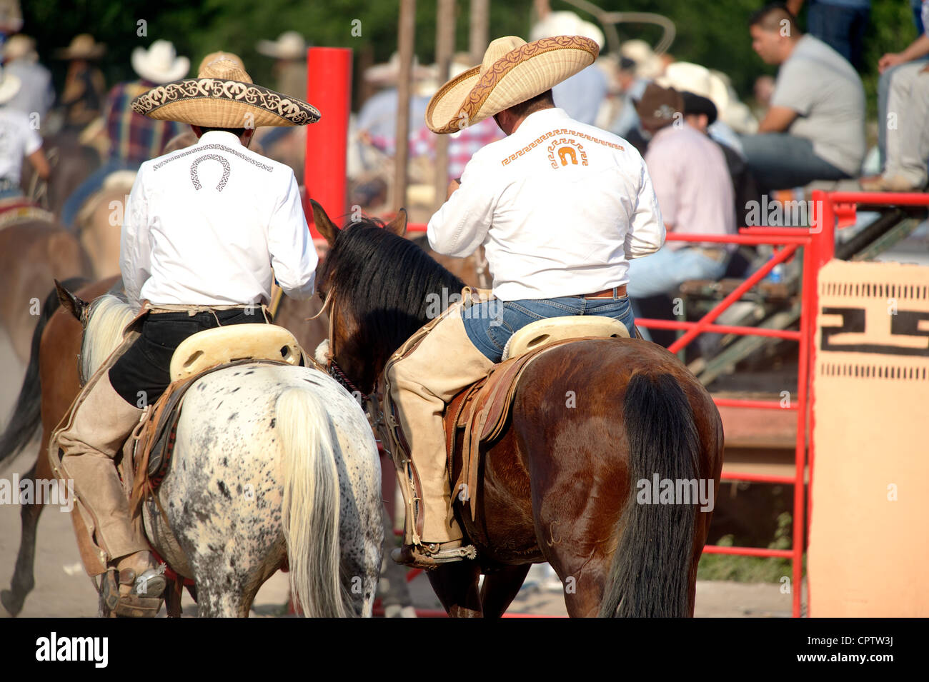 Mexican charros horseman chat while on horseback in a lienzo charro (aka arena) during a coleadero, San Antonio, Texas, US Stock Photo
