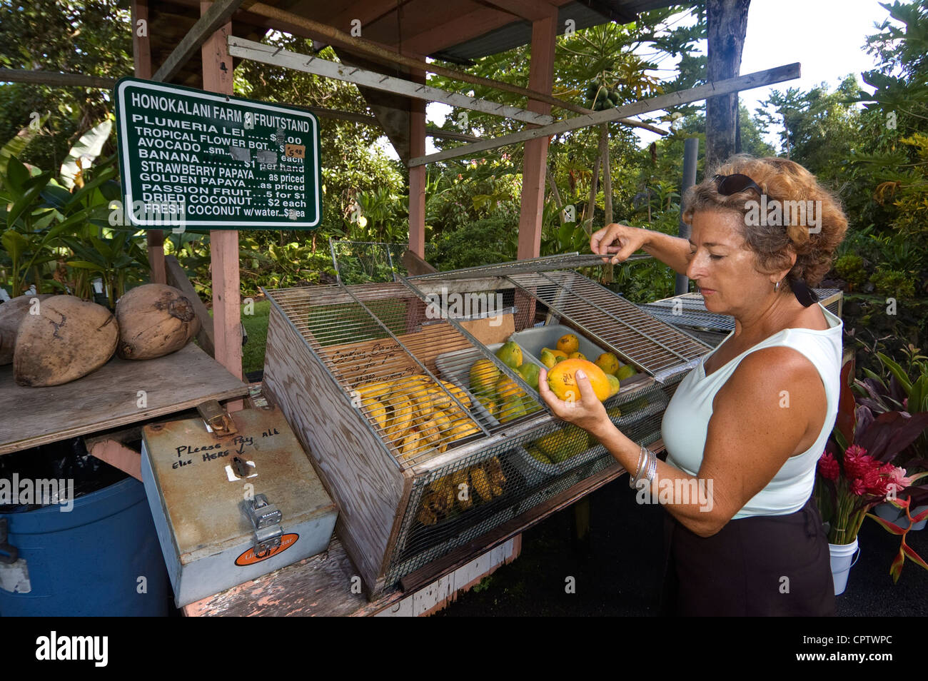 Hawaii, Maui, Hana, roadside fruit stand with model released woman