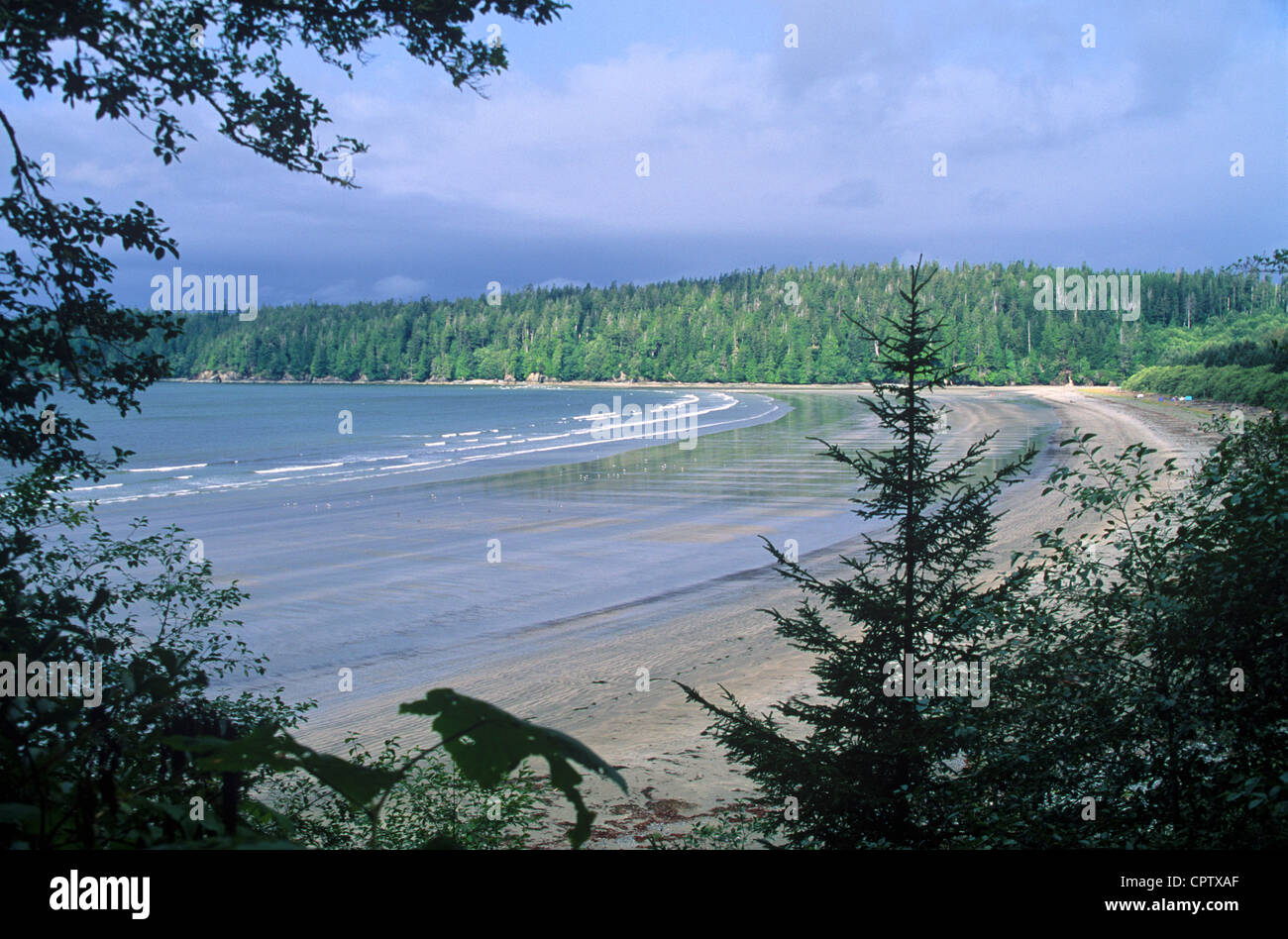 A glimpse of Pachena Bay when coming off the West Coast trail on the west coast of Vancouver Island Stock Photo Alamy