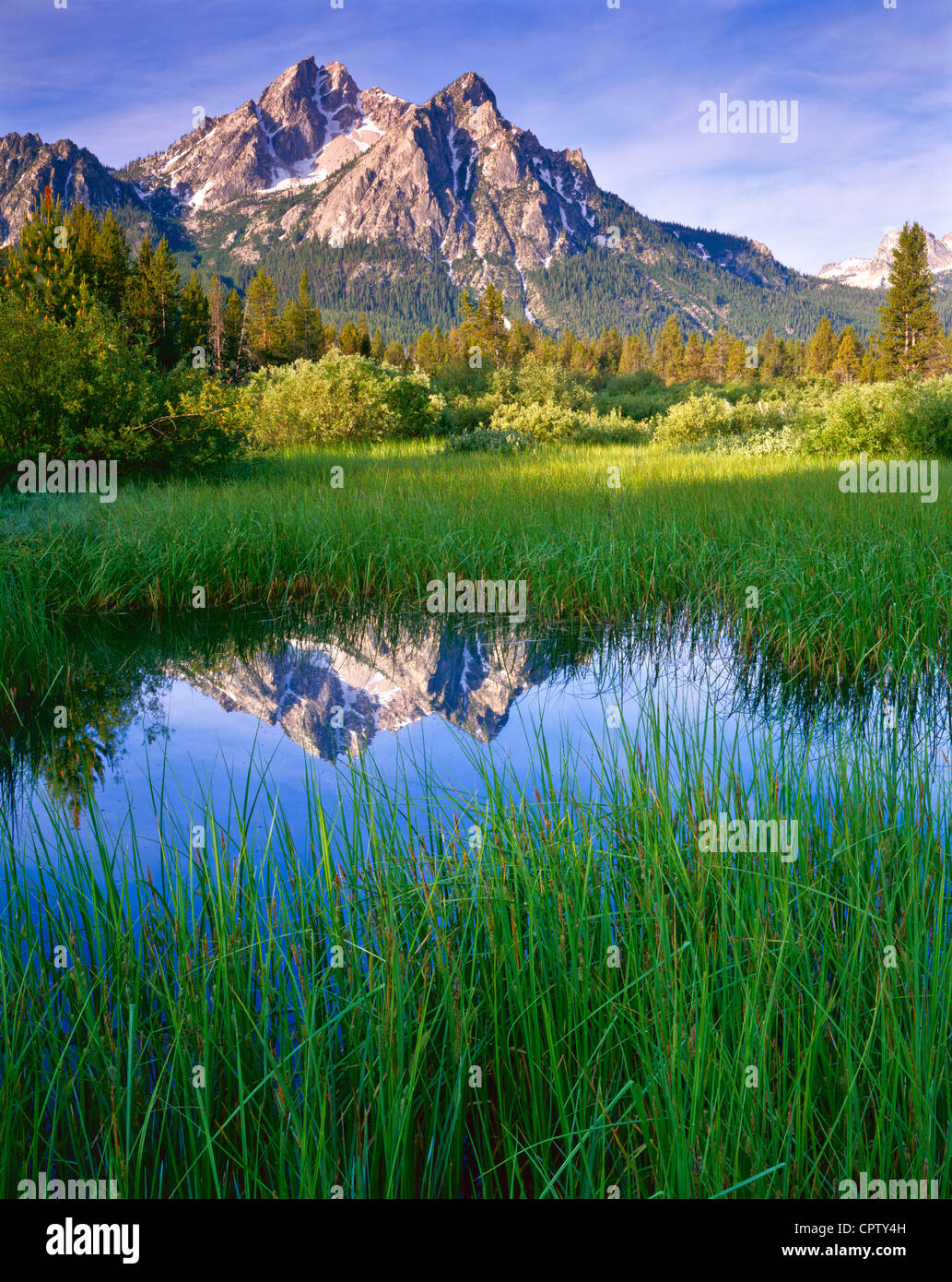 Sawtooth National Recreation Area, ID Morning sun on Mount McGown with reflections on a grassy