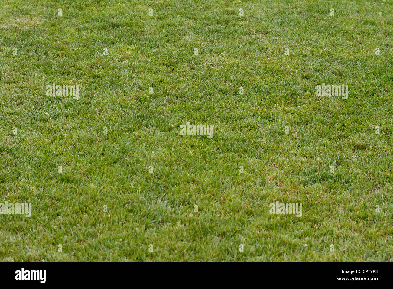 details of soccer-football court, Stock Photo