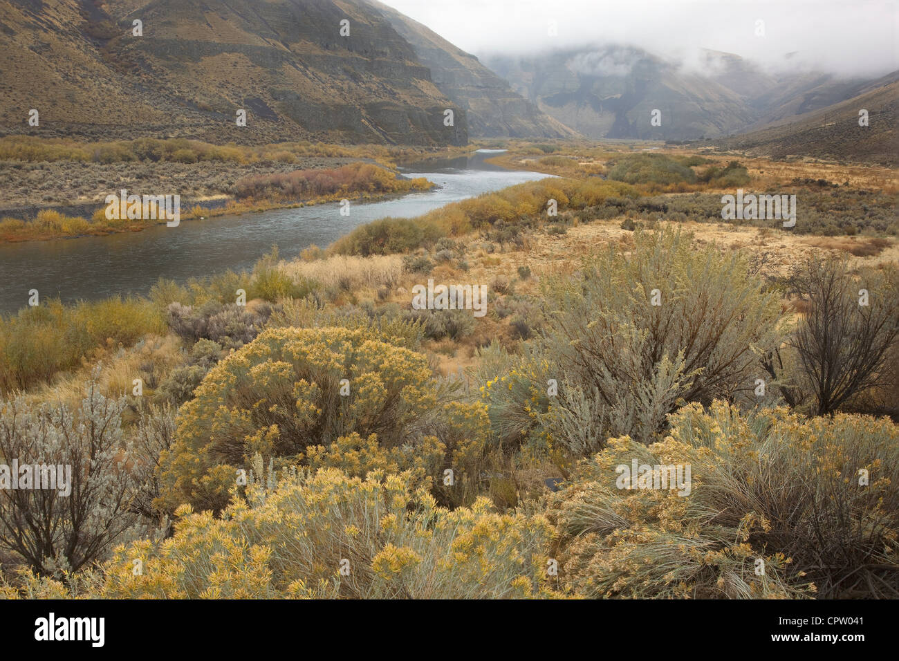 Gilliam County, OR John Day River flows through the eroded hills of Cottonwood Canyon with sage and rabbit brush Stock Photo