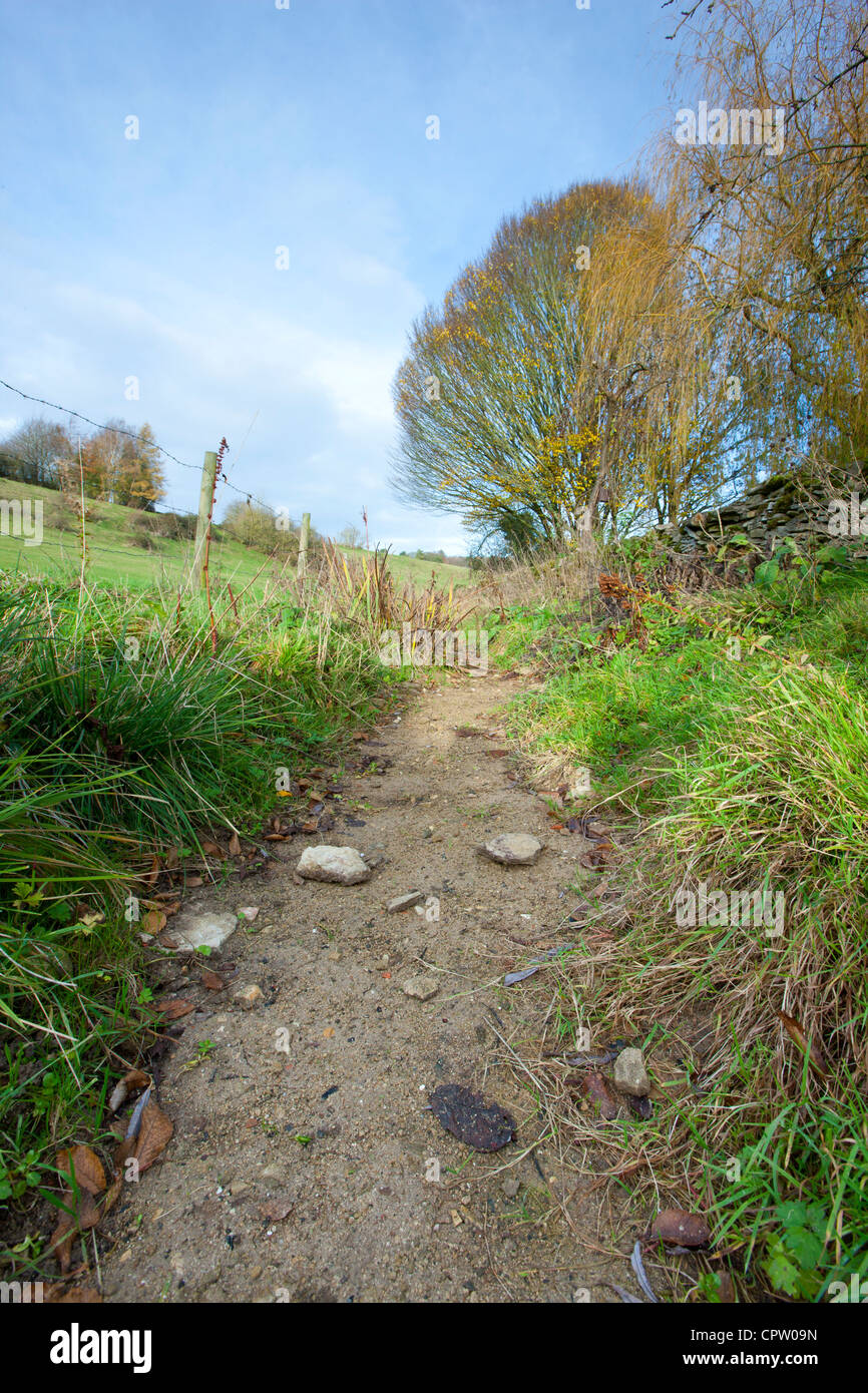 Dry weather causes Cotswolds stream to run dry, Swinbrook, Oxfordshire, UK Stock Photo Alamy