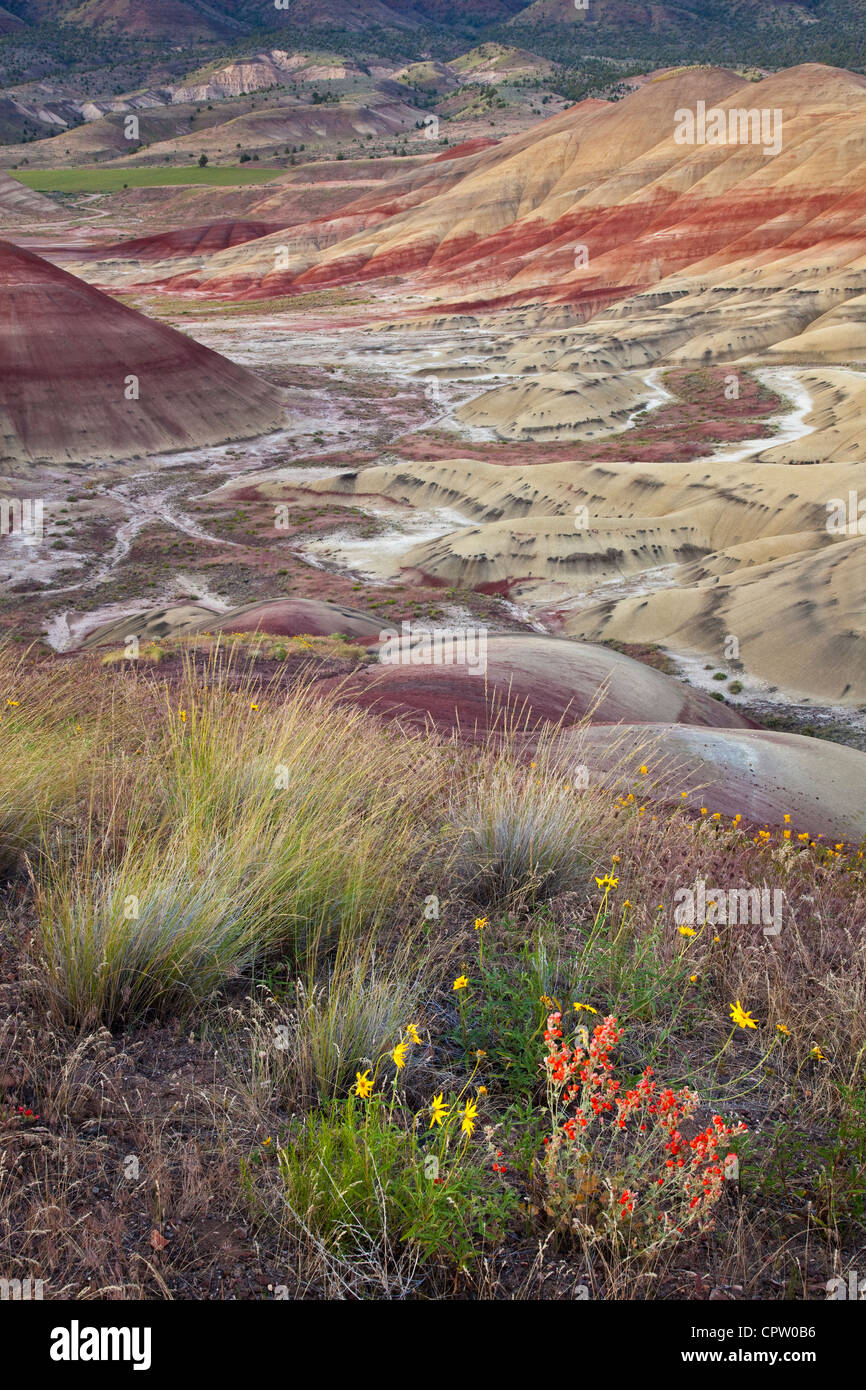 Painted Hills Unit, John Day Fossil Beds National Monument, OR Globe