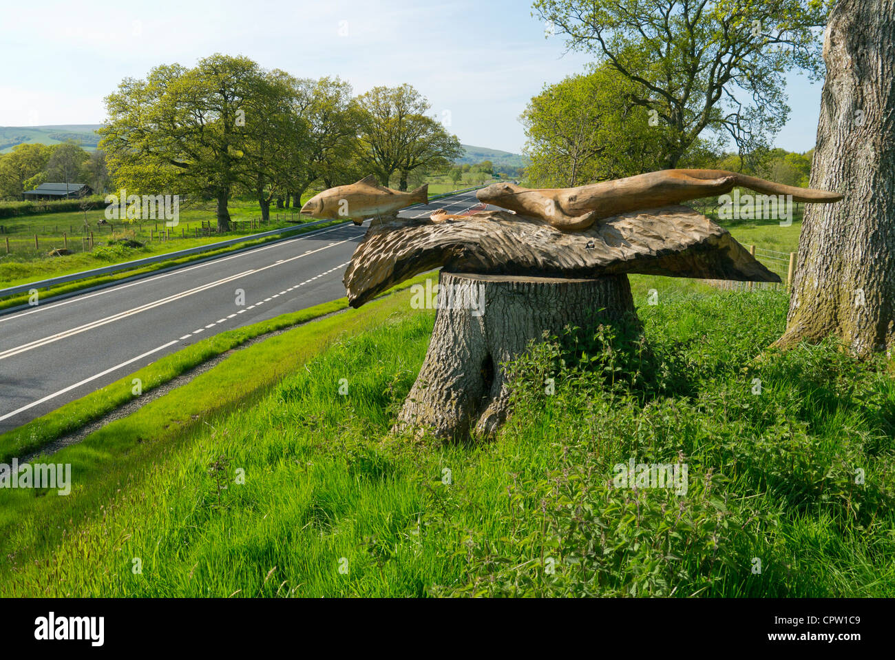 Wooden otter chasing trout fish sculpture above a new improved section of the A470 near Newbridge on Wye, Powys. Stock Photo