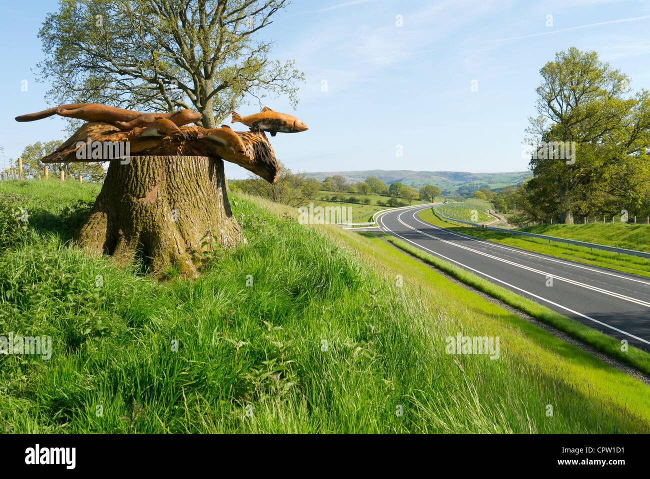 Wooden otter chasing trout fish sculpture above a new improved section of the A470 near Newbridge on Wye, Powys. Stock Photo