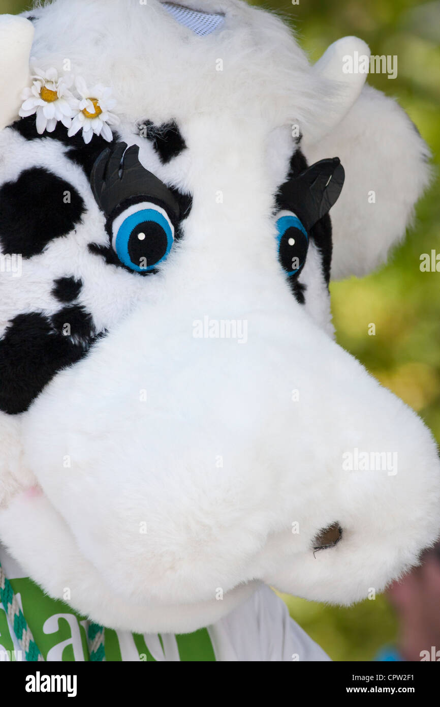Cow mascot of dairy company at Dragon boat festivalVictoria, Vancouver Island, British Columbia
