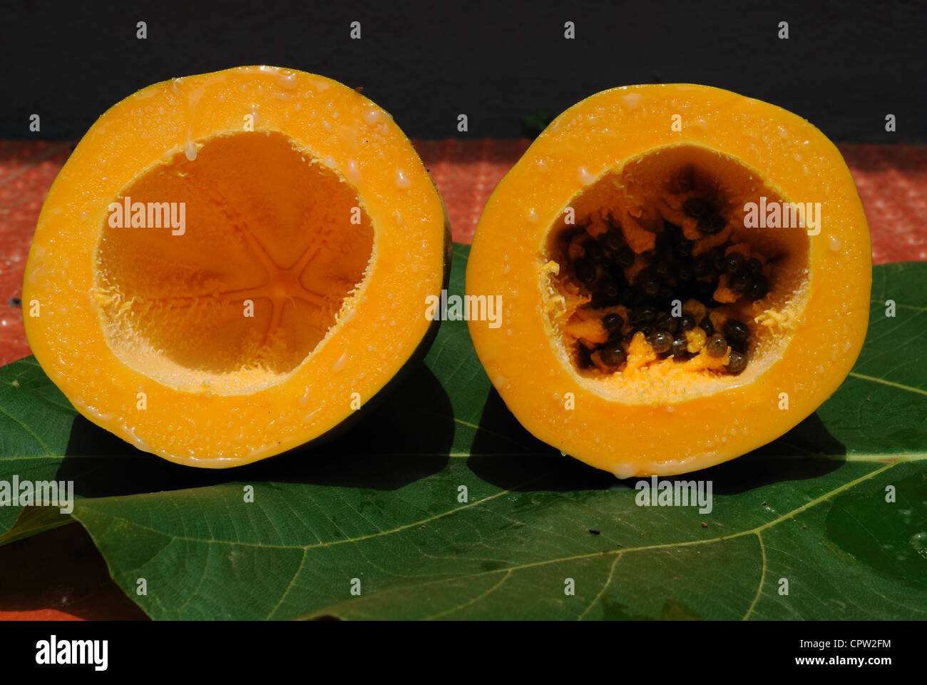 Cross section of ripened Papaya with seeds inside,placed in a Teak leaf