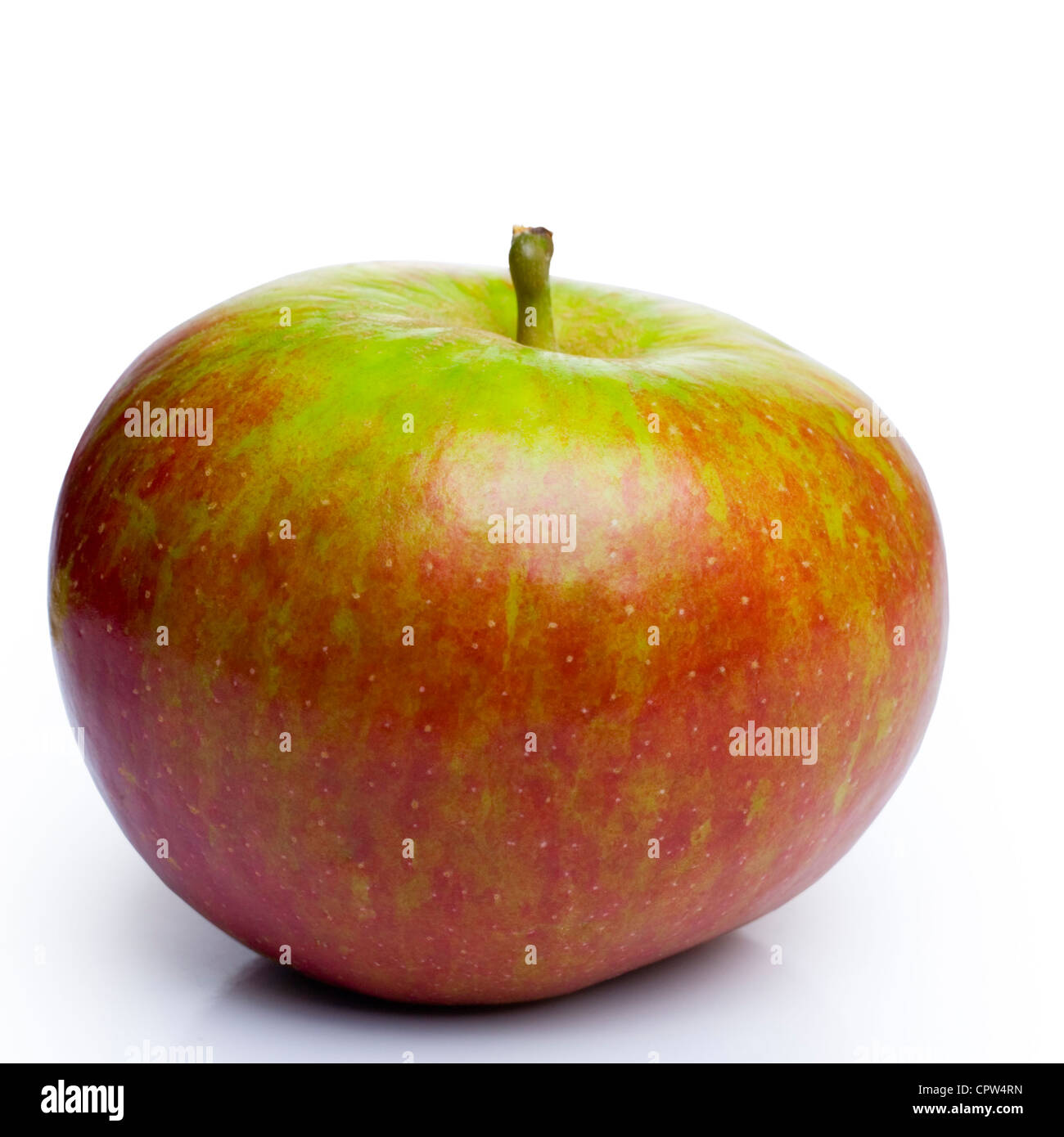 Cox's Orange Pippin, a red and green very tasty apple, isolated on white. Stock Photo