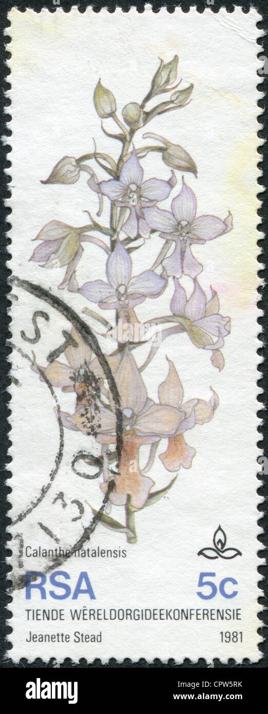 A stamp printed in South Africa (RSA), show flower Calanthe Natalensis, circa 1981 Stock Photo