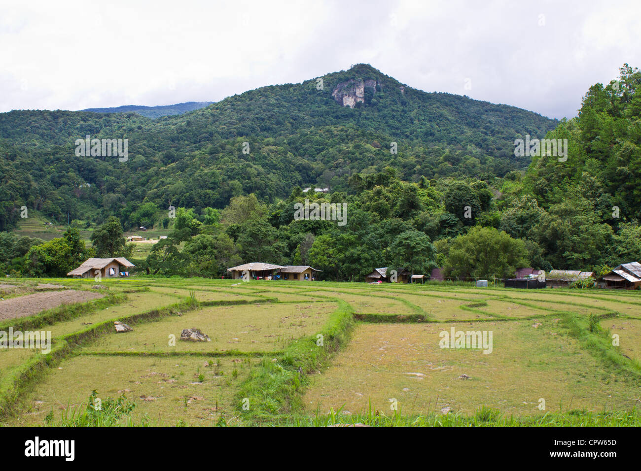 Doi inthanon, Maeglangluang ,Karen villages Stock Photo