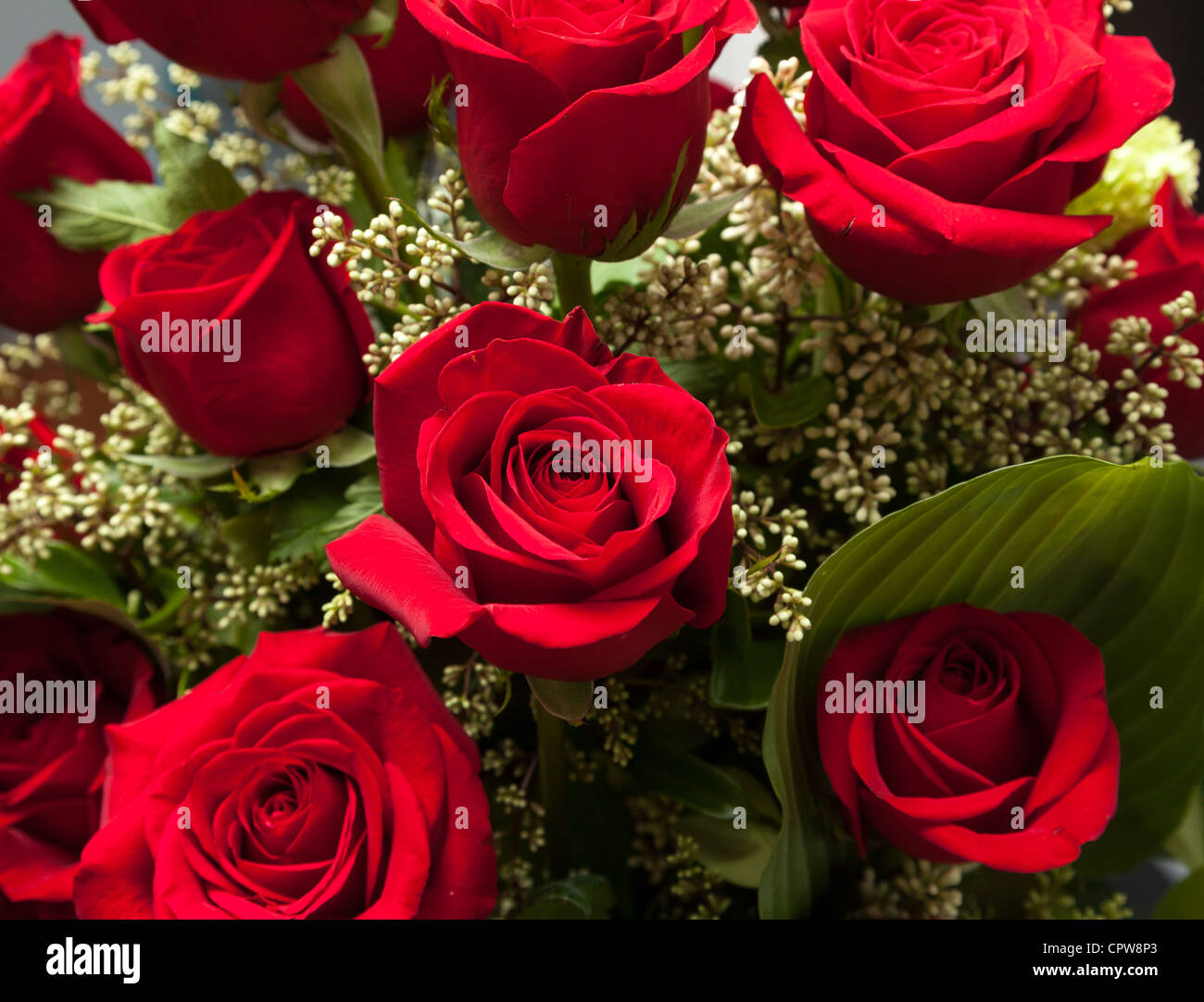 Bunch of Red roses in a valentines day bouquet close up on the flowers Stock Photo