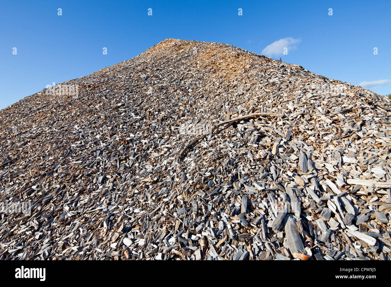 Closeup of pile of wood chips , Finland Stock Photo