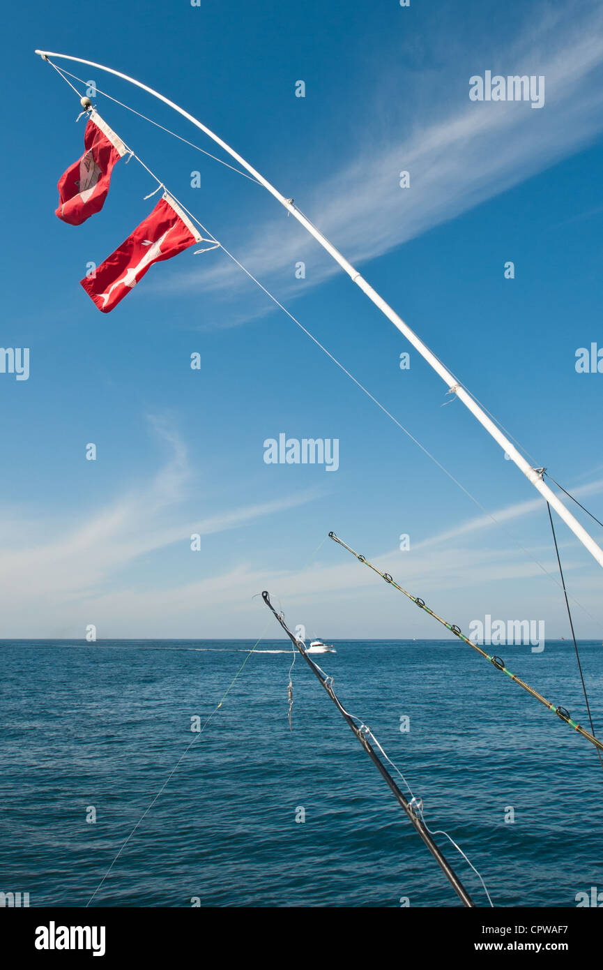 Mexico, Puerto Vallarta. Sailfish catch flags, deep sea sportfishing Puerto Vallarta, Mexico. Stock Photo