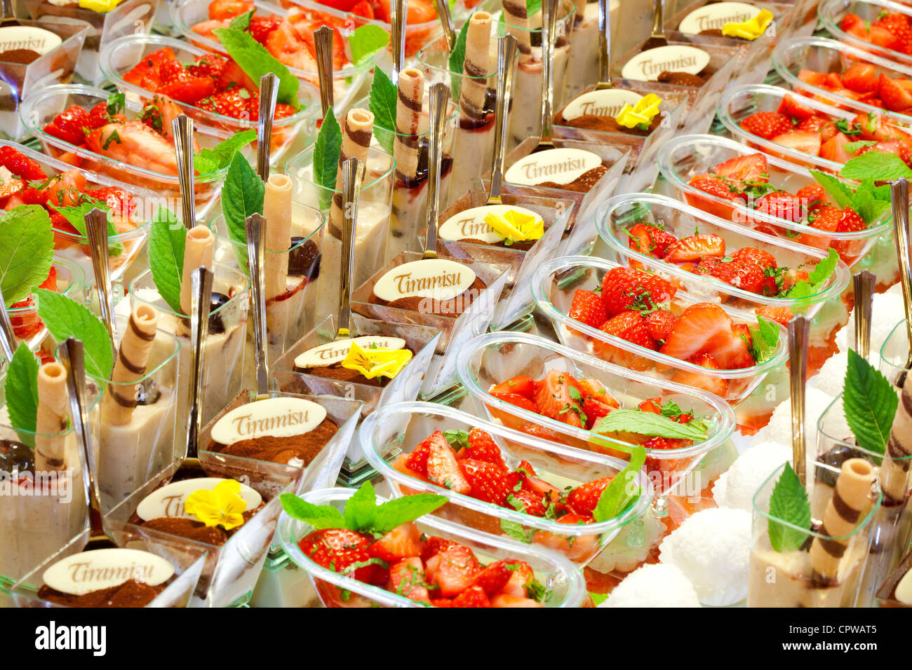 tiramisu dessert served at a party Stock Photo