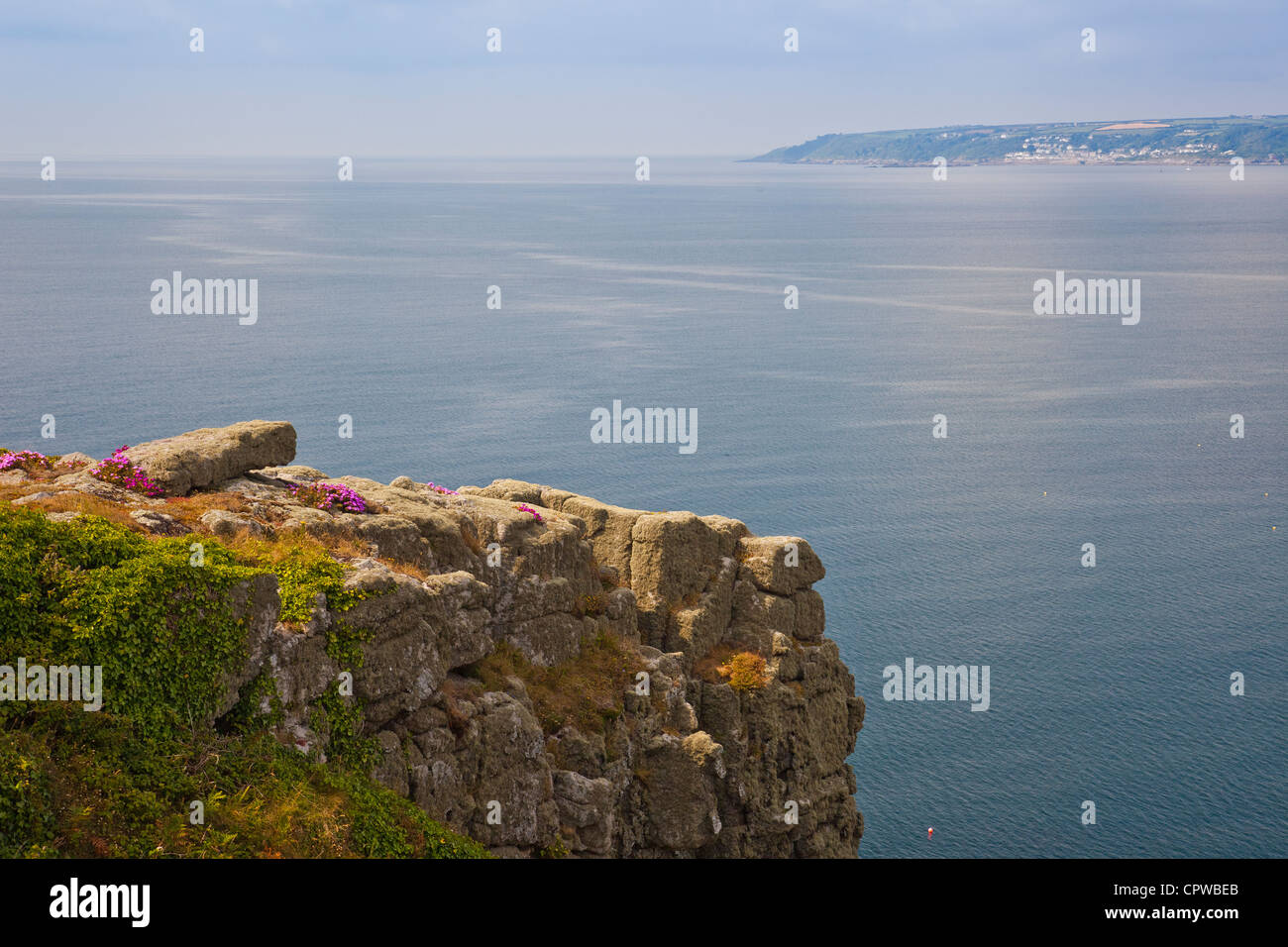 Cliff top mesembryanthemum flowers and the Cornish coastline from the summit of St Michael's Mount Marazion Cornwall England UK Stock Photo