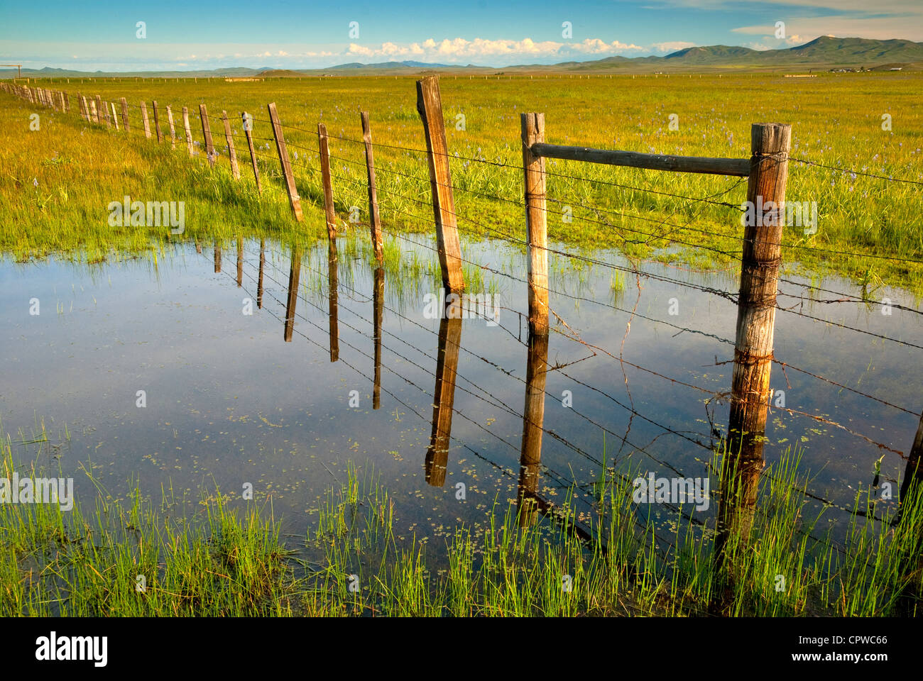 Idaho Field with a fence and Irrigation water Stock Photo Alamy
