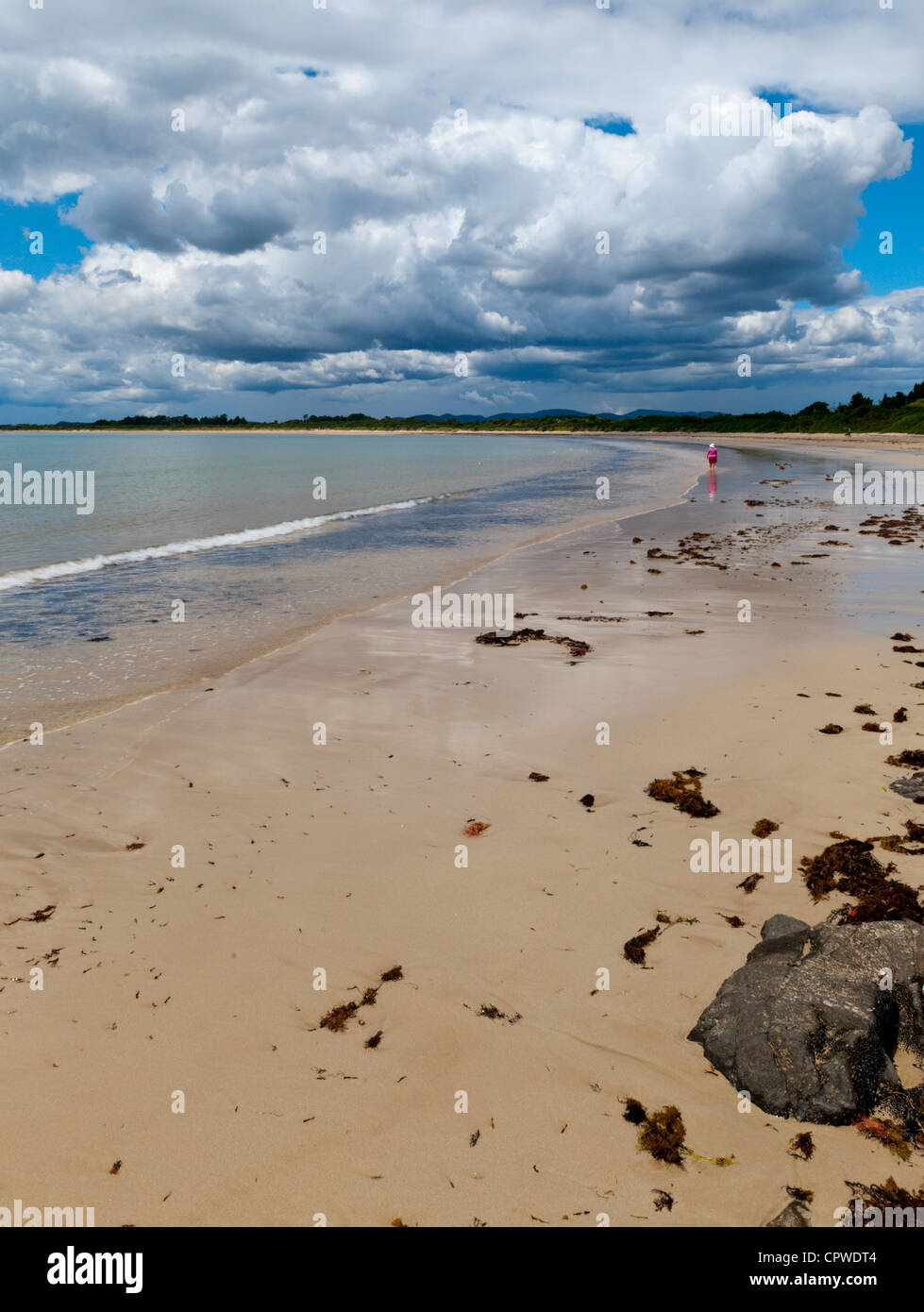 Greens Beach Tasmania Stock Photo Alamy