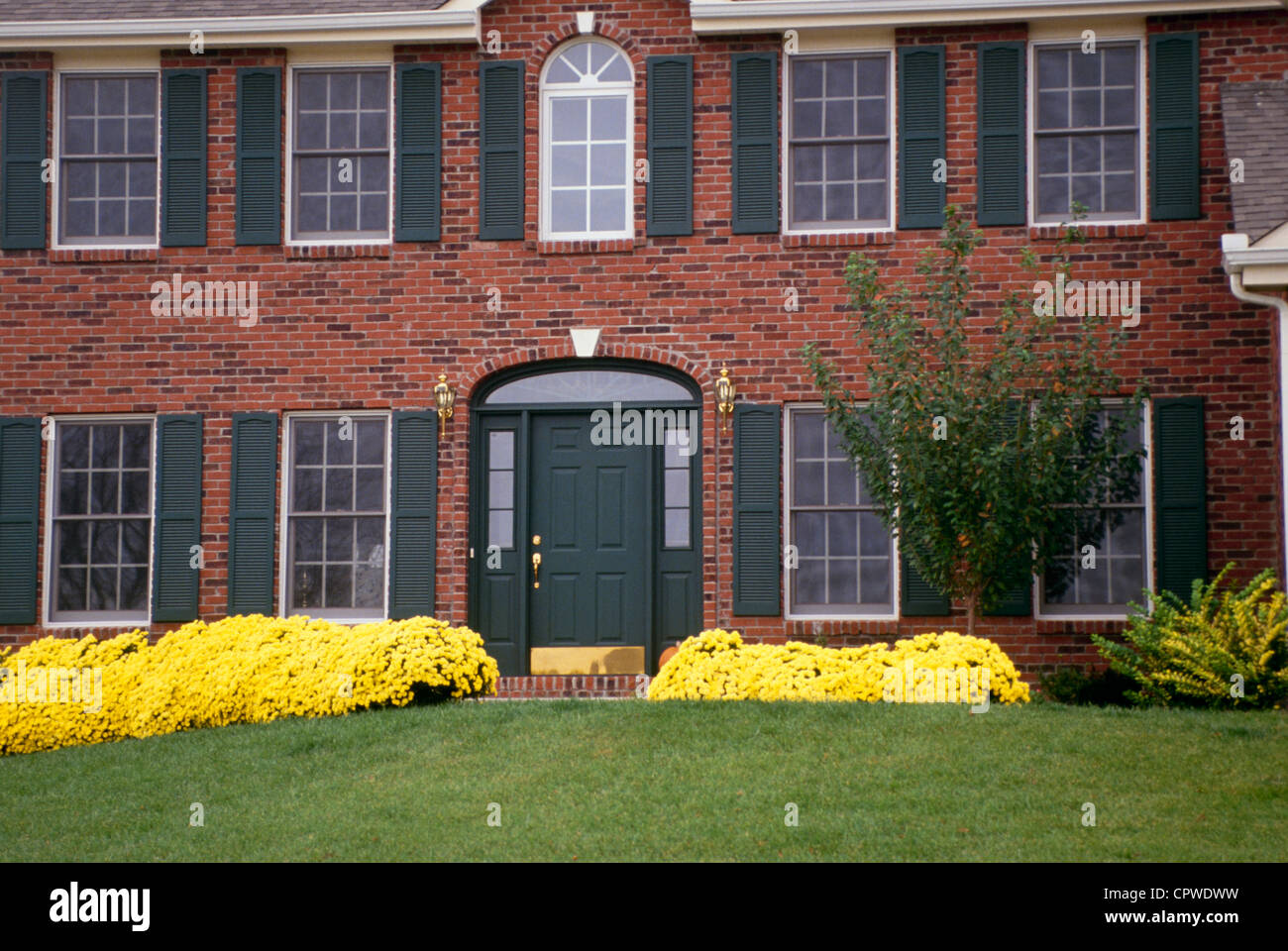 Traditional brick house with yellow mums and perfect lawn from the ...