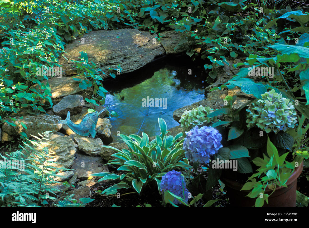 Fish fountain in garden pool surrounded by shade plants (hydrangeas