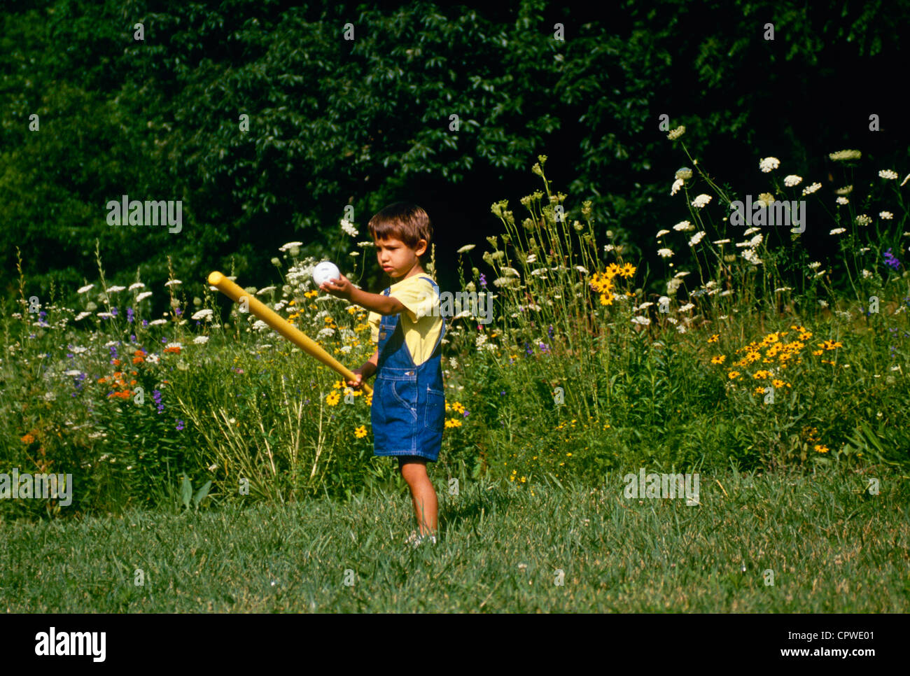 Young Afghan American boy considers hitting the ball with the bat, Missouri USA Stock Photo