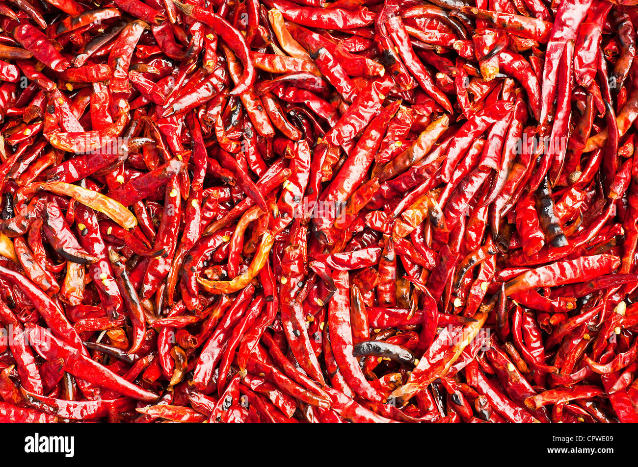Dry red hot chili Stock Photo Alamy