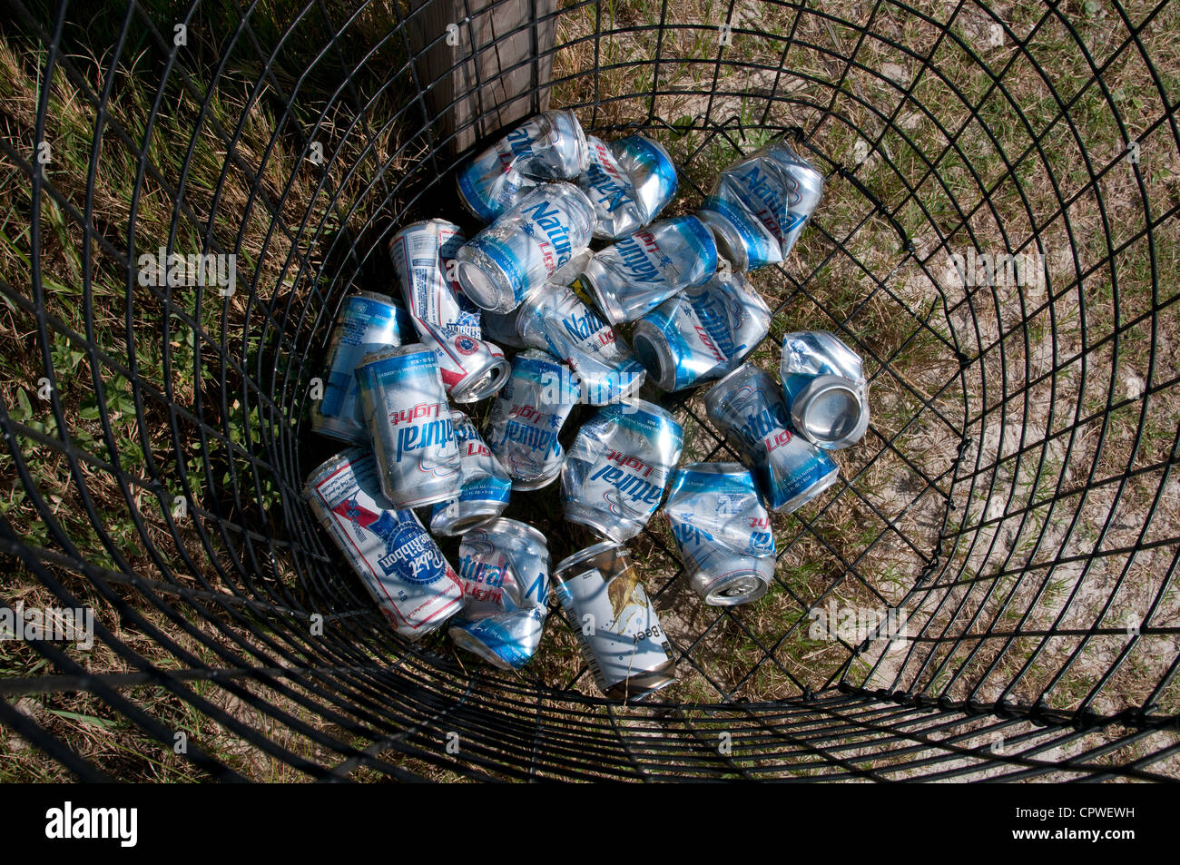 Empty beer cans in a wire waste basket Stock Photo Alamy