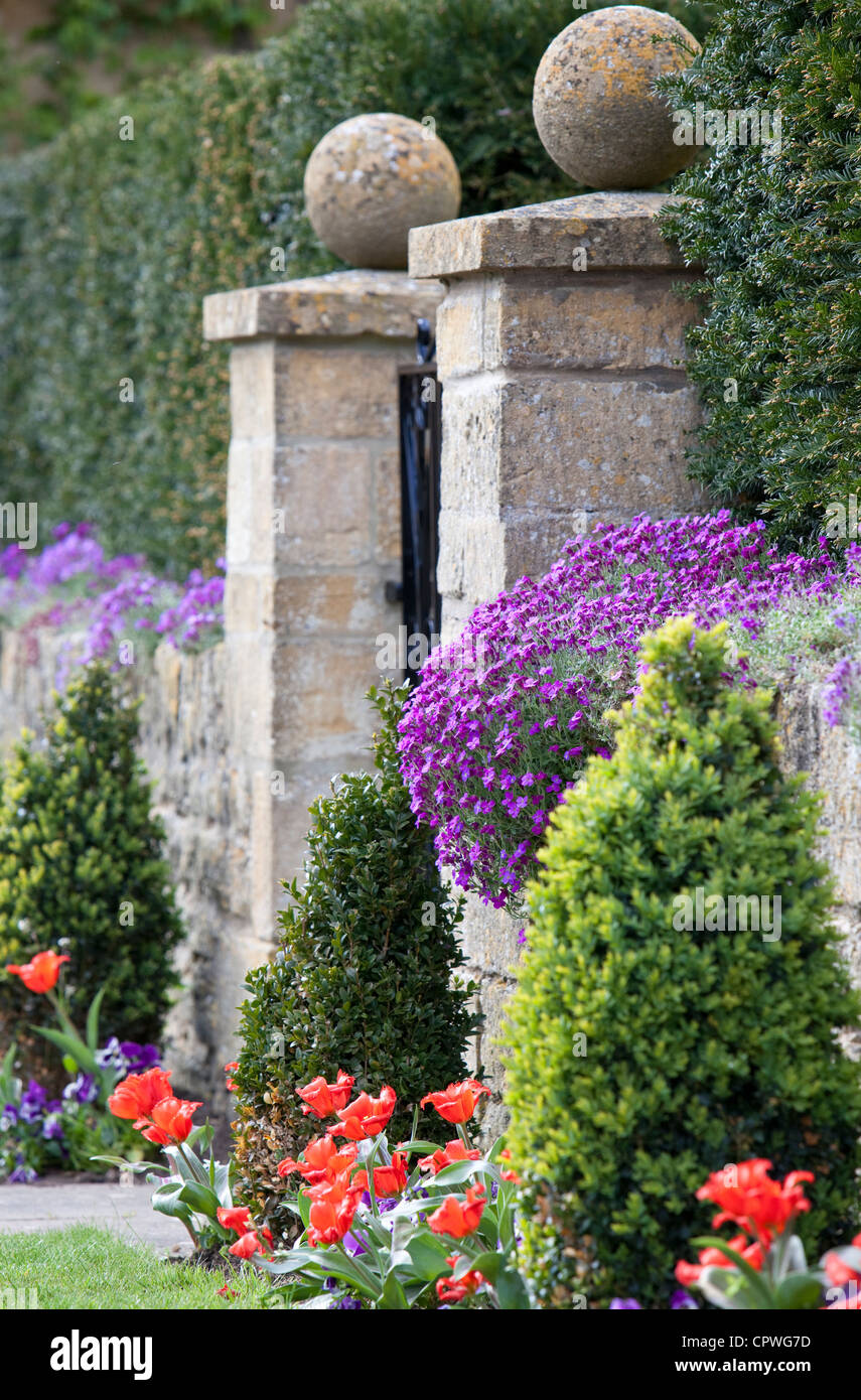 Sandstone wall with summer bedding of tulips, and Aubrieta, The Cotswolds, Worcestershire, England, UK Stock Photo