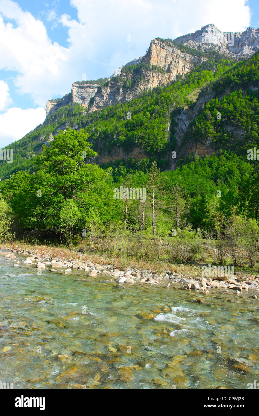 Arazas River and Ordesa National Park in Spring. Huesca Province. Aragón. Pyrenees Spain Stock Photo