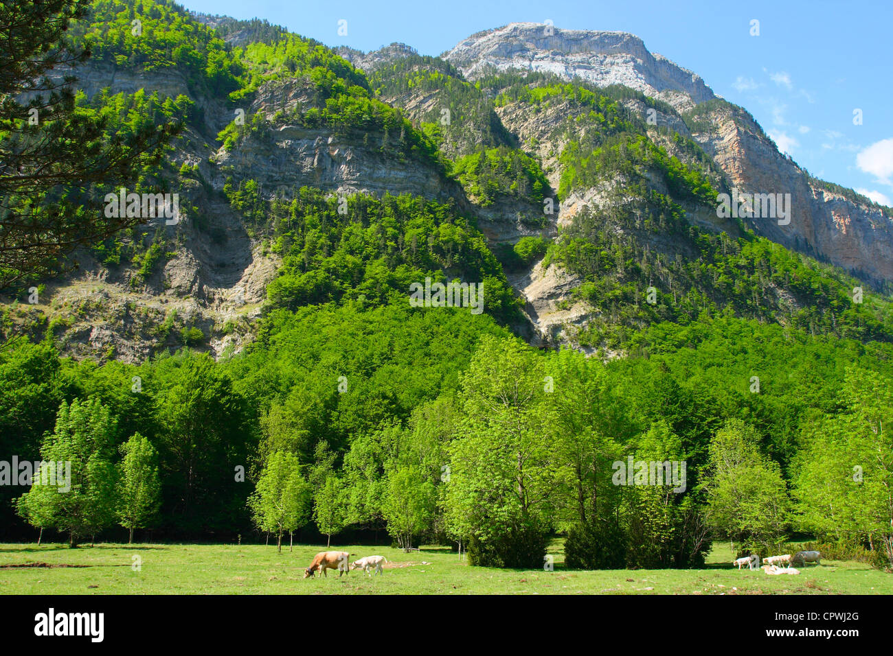 Ordesa National Park in Spring. Huesca Province. Aragon. Pyrenees Spain Stock Photo