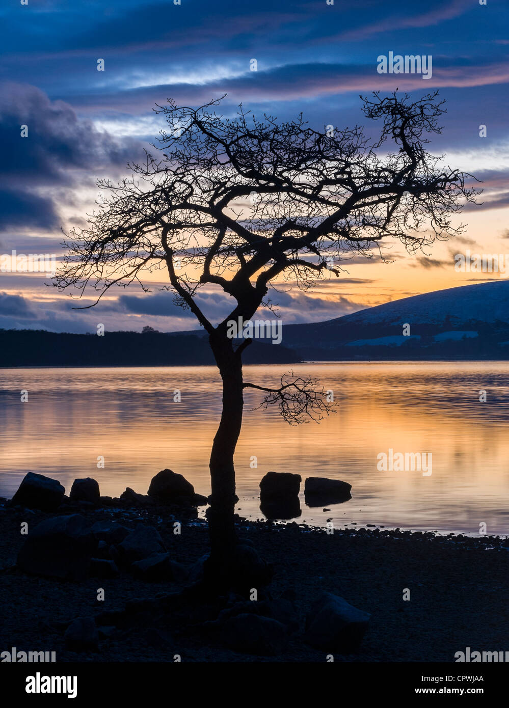 One tree against stunning sunset, Loch Lomond, Scotland, UK Stock Photo