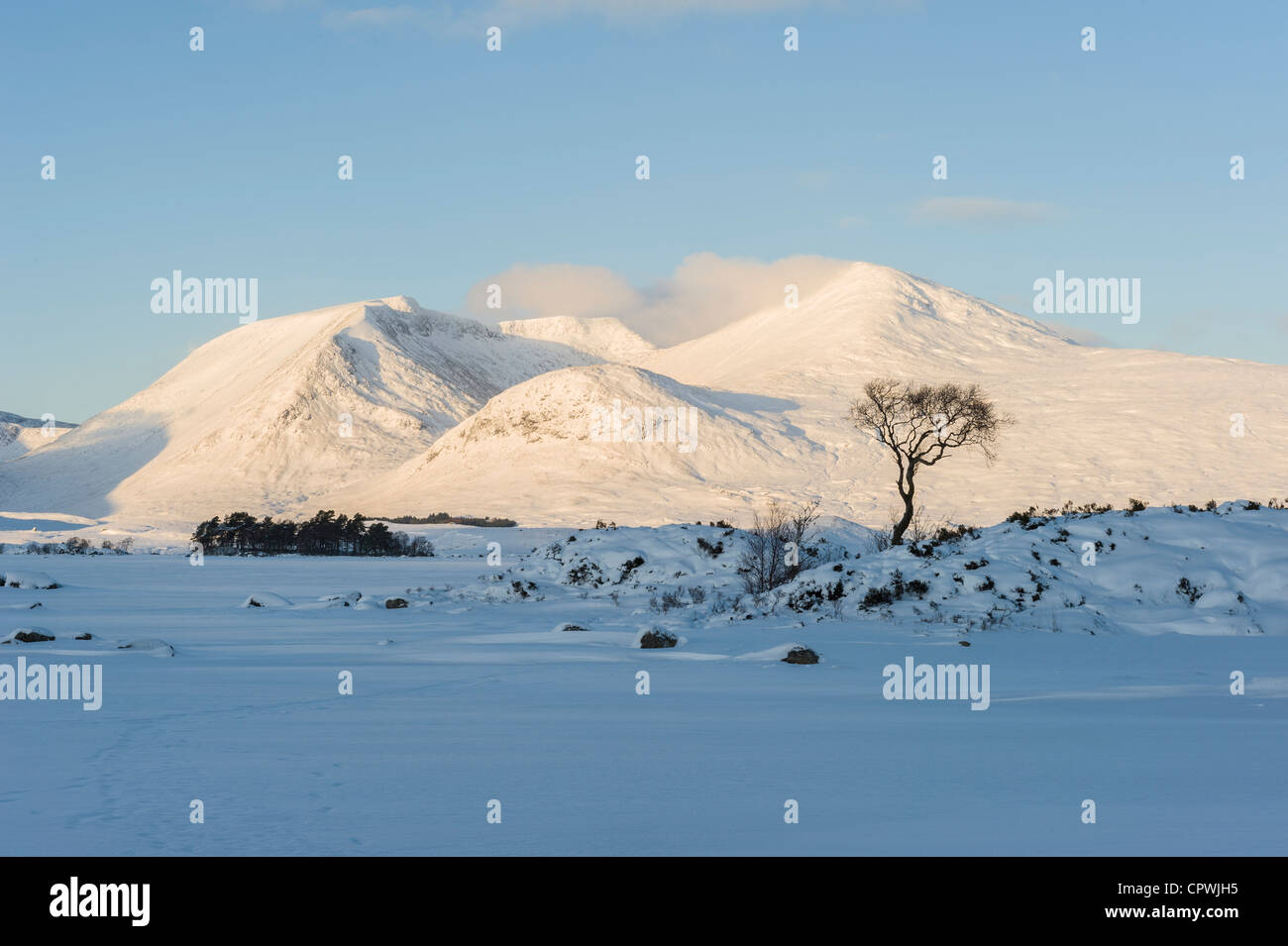Early morning at Rannoch Moor in winter, Highlands, Scotland, UK Stock Photo