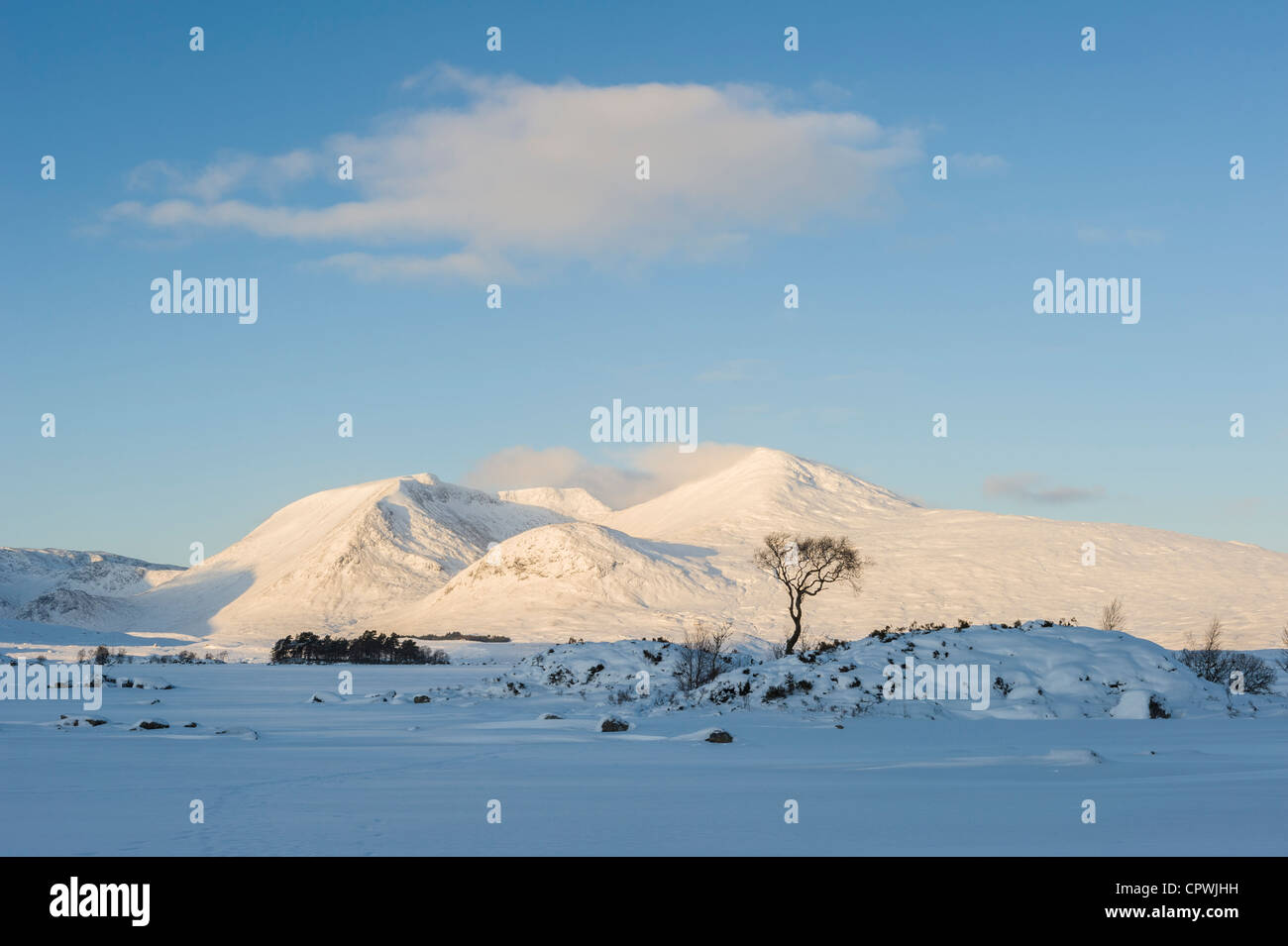 Early morning at Rannoch Moor in winter, Highlands, Scotland, UK Stock Photo