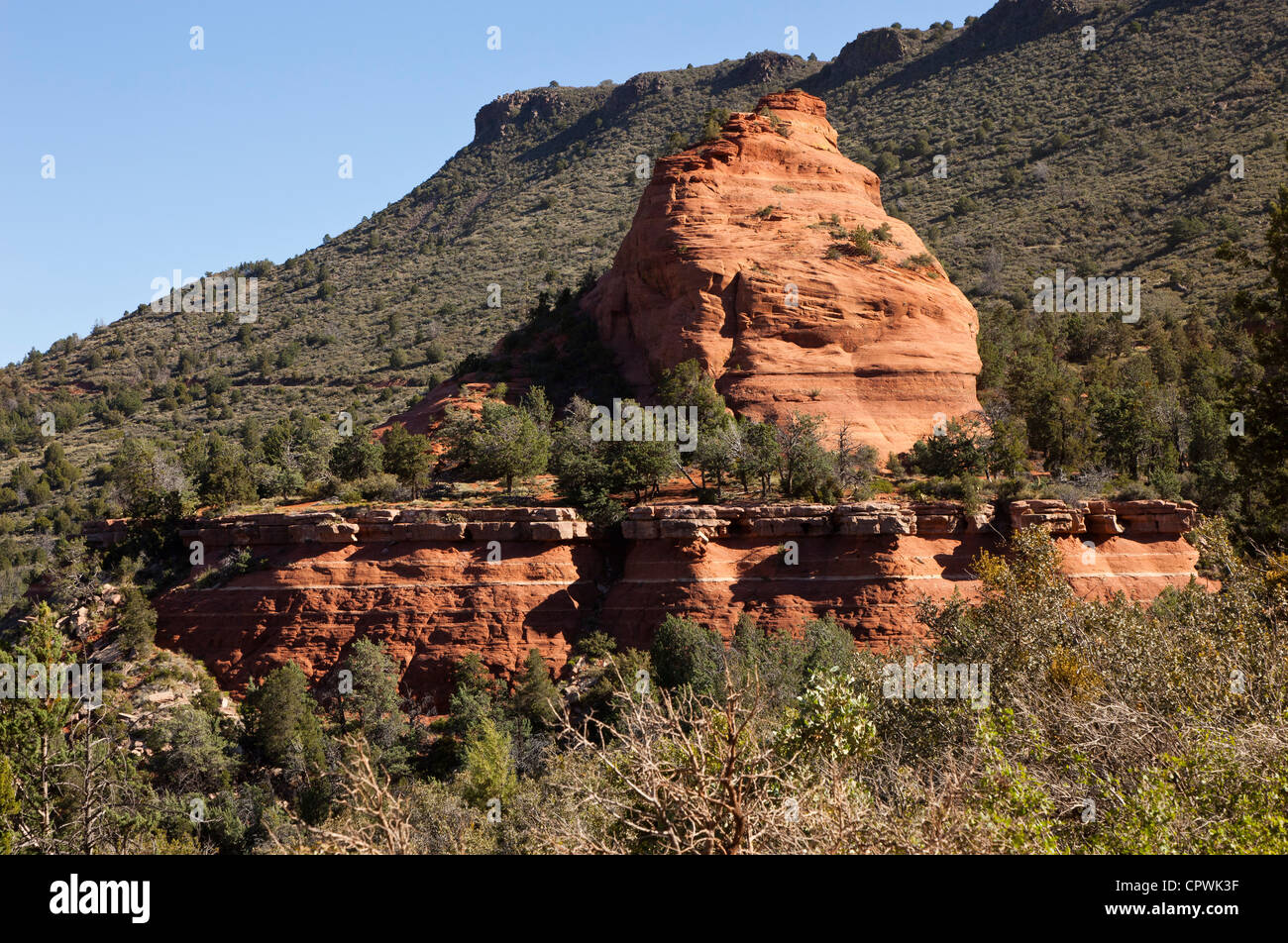 Red Rocks Of Arizona Typical view of the red rocks of Sedona in Arizona USA Stock Photo - Alamy