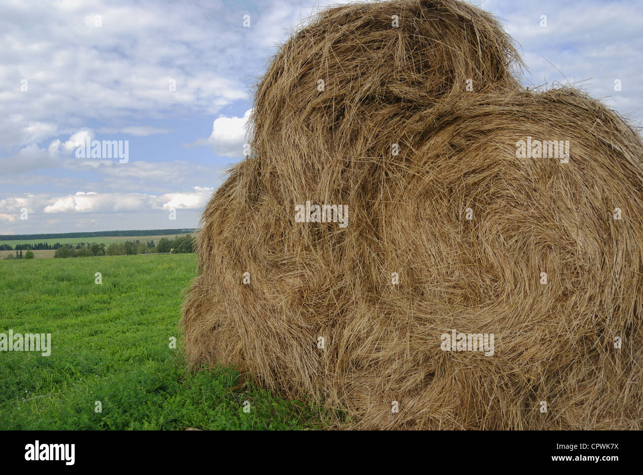 straw bales on farmland with blue cloudy sky Stock Photo - Alamy